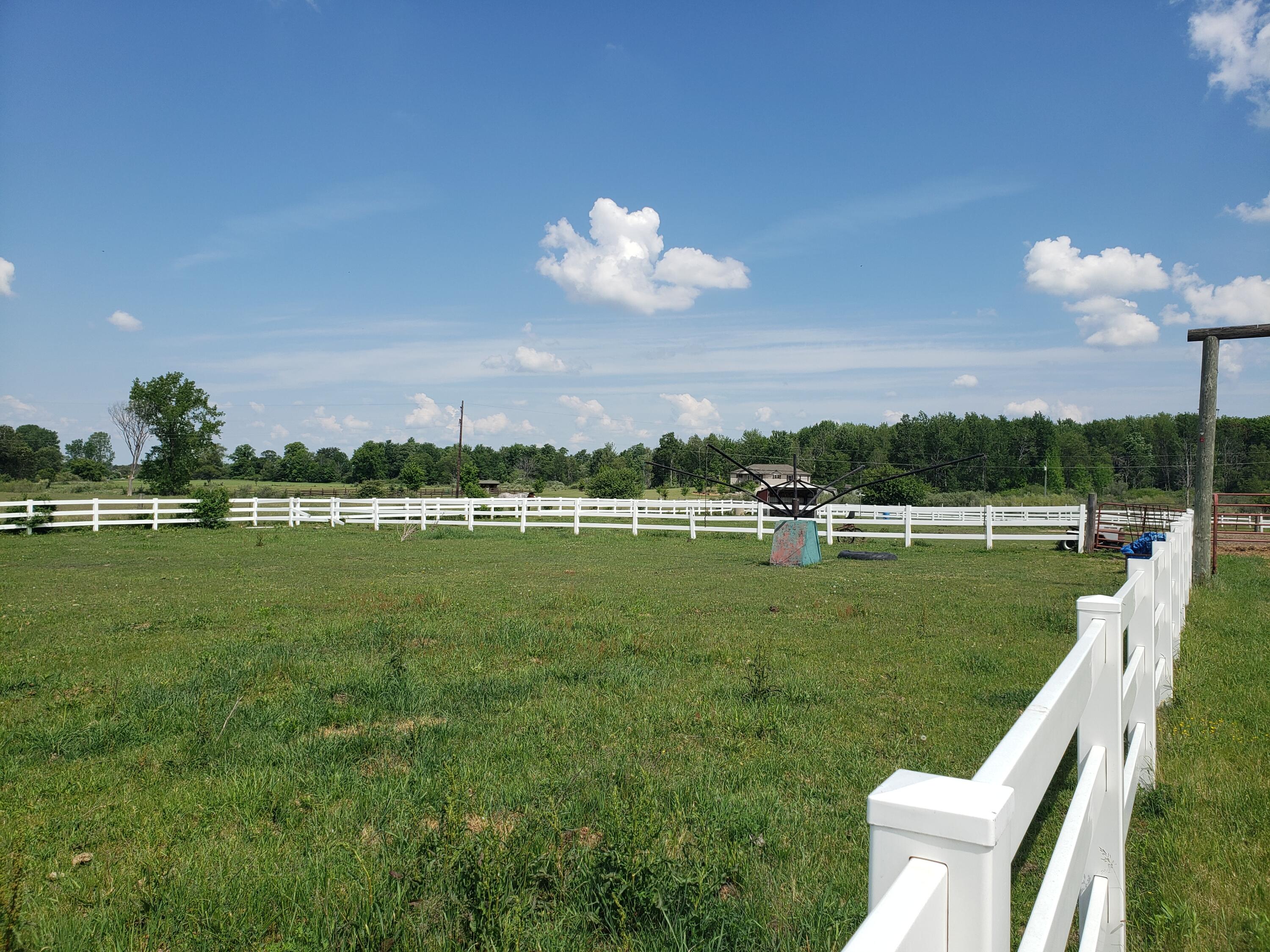 11086 Howard City Edmore Road Lakeview, MI 48850 - Photo 26 of 42 2021-06-02 11.33.24