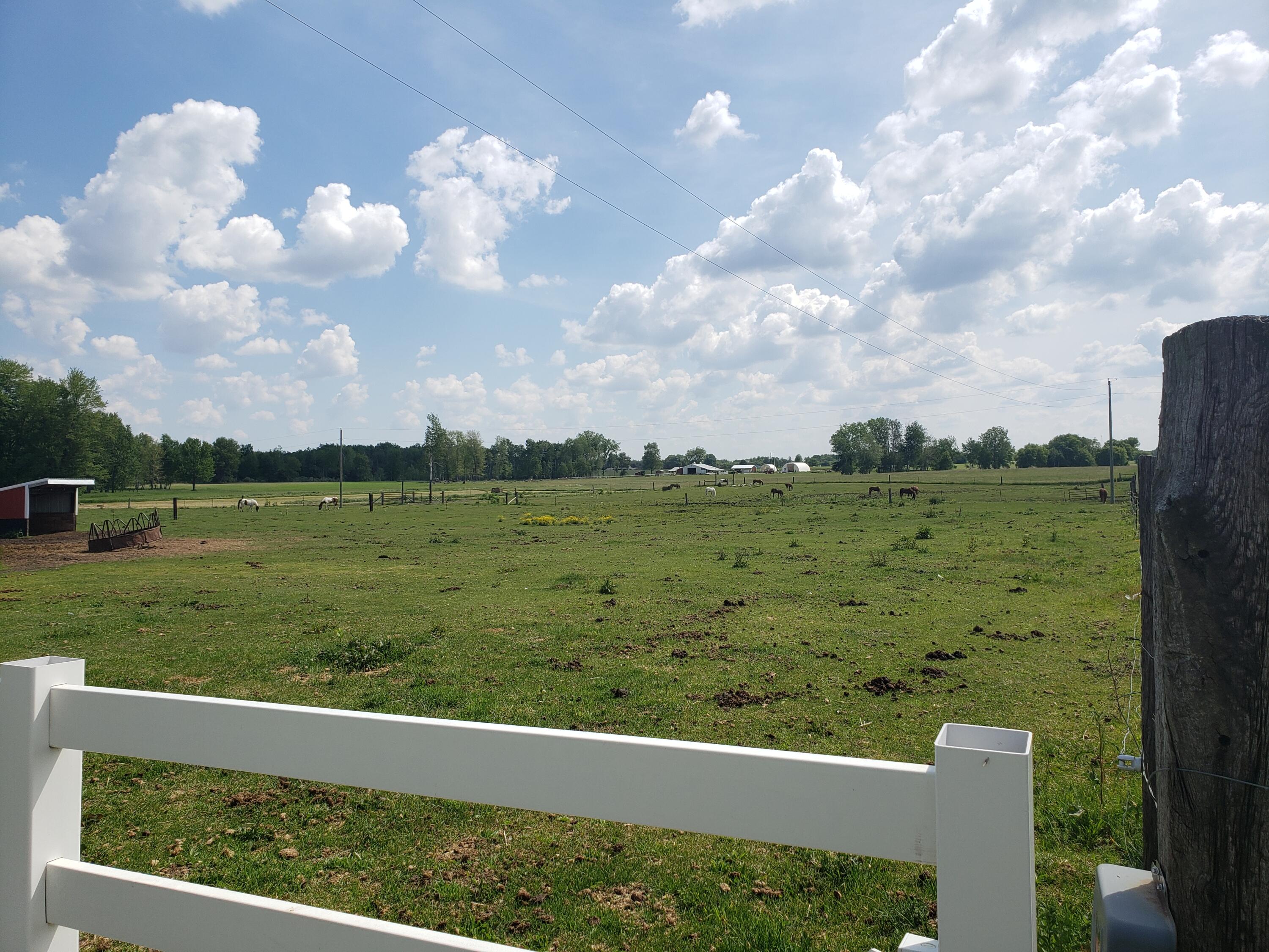 11086 Howard City Edmore Road Lakeview, MI 48850 - Photo 27 of 42 2021-06-02 11.34.48