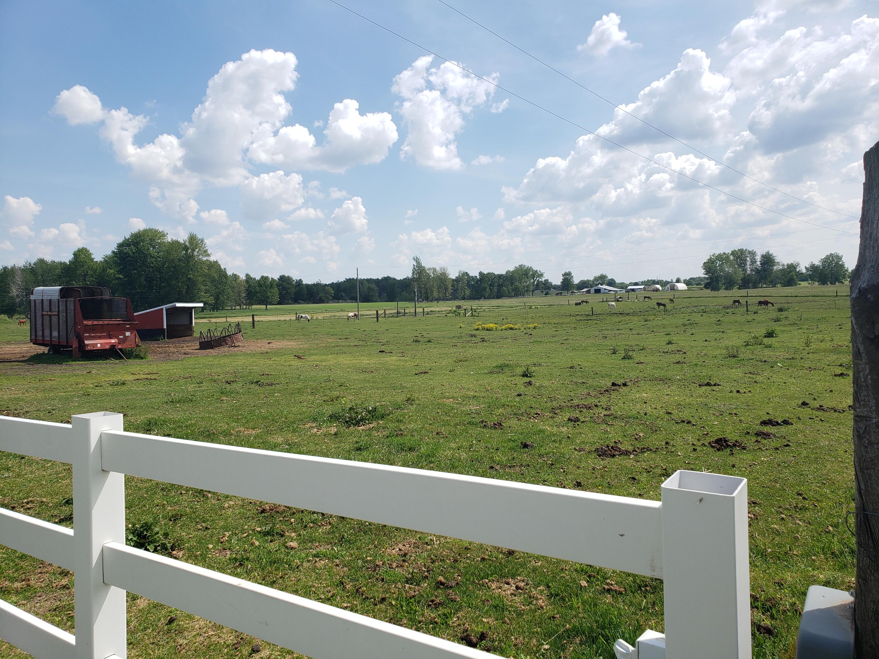 11086 Howard City Edmore Road Lakeview, MI 48850 - Photo 28 of 42 2021-06-02 11.34.57