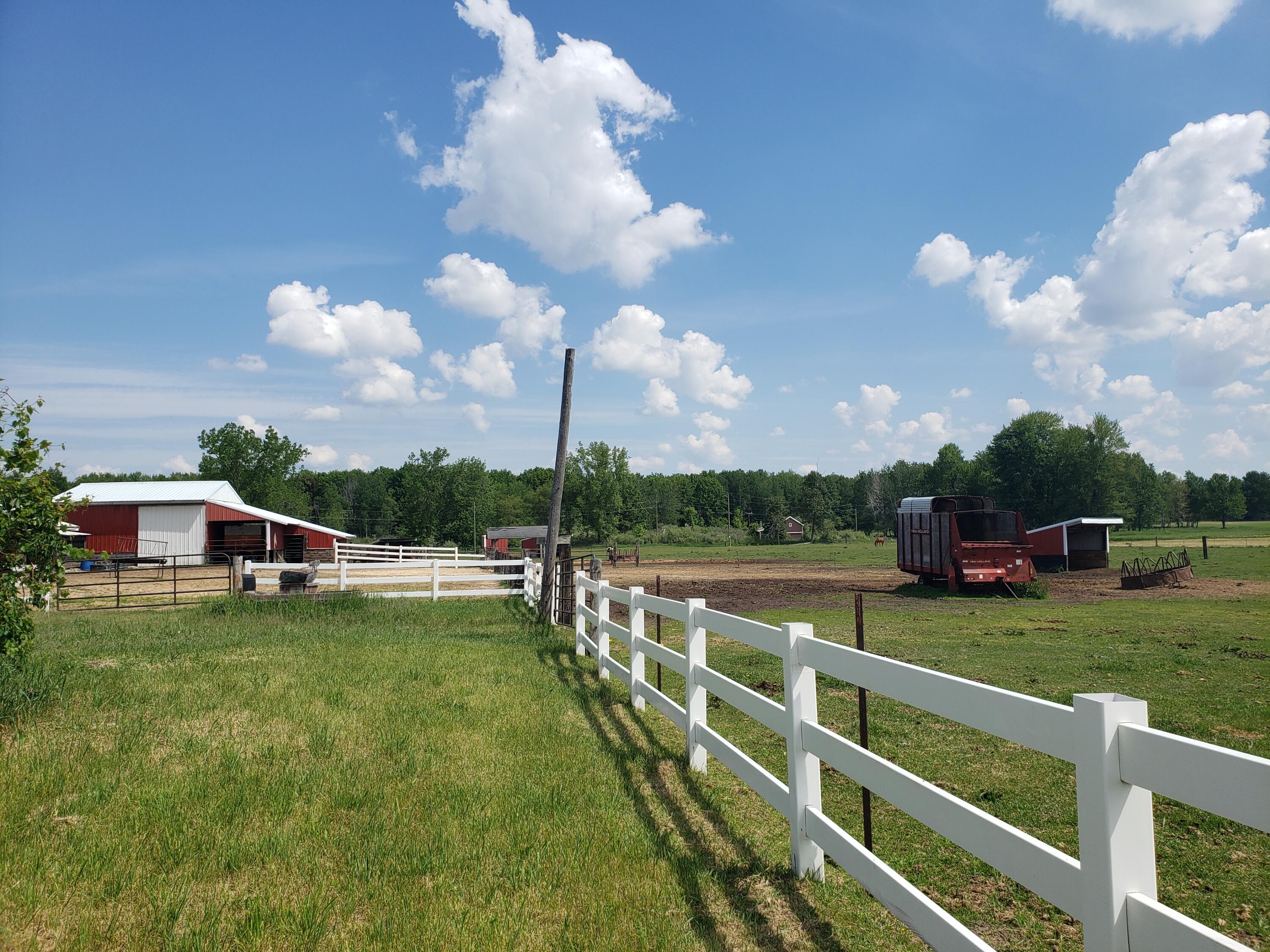 11086 Howard City Edmore Road Lakeview, MI 48850 - Photo 29 of 42 2021-06-02 11.35.01