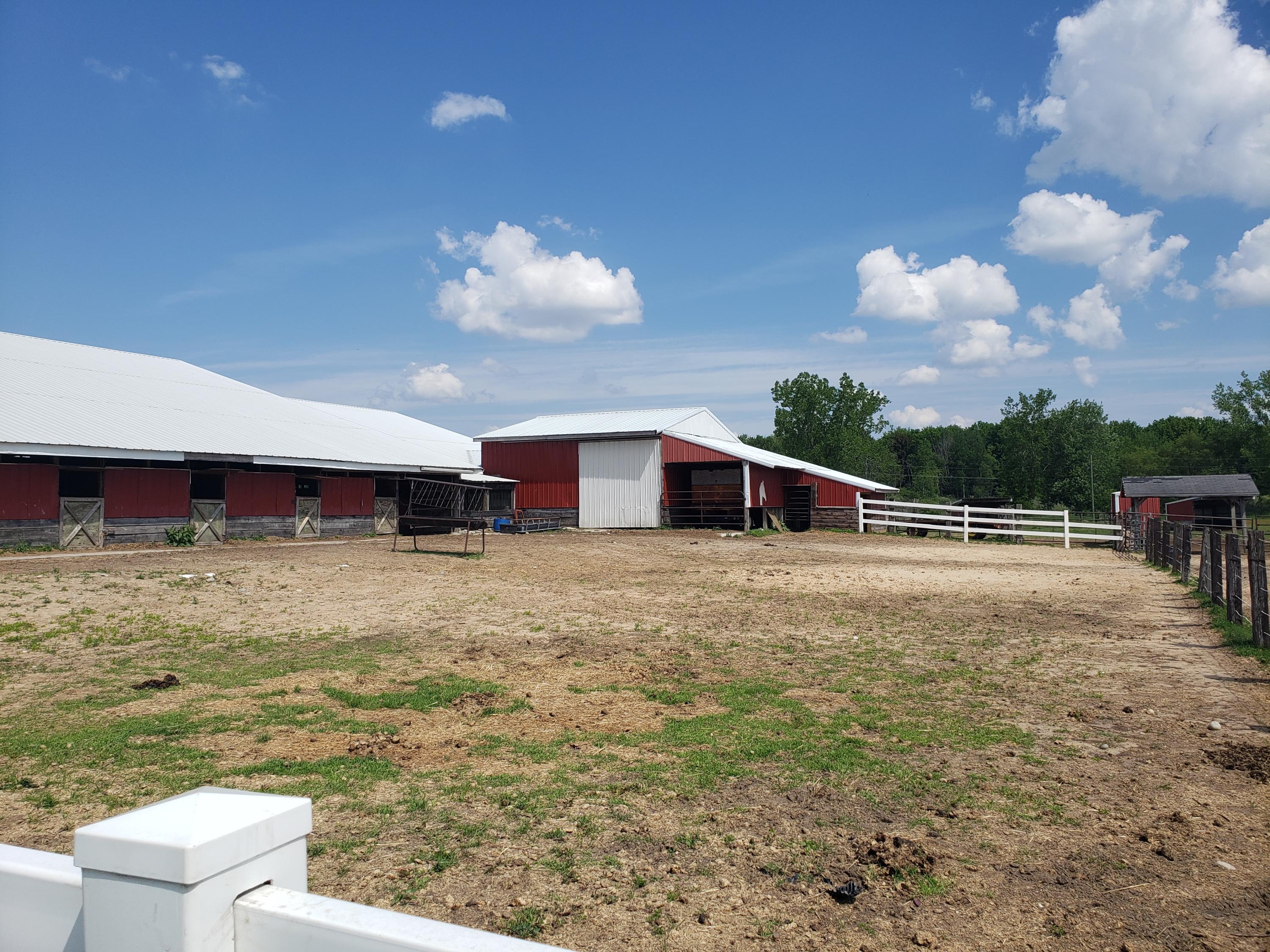 11086 Howard City Edmore Road Lakeview, MI 48850 - Photo 31 of 42 2021-06-02 11.35.39