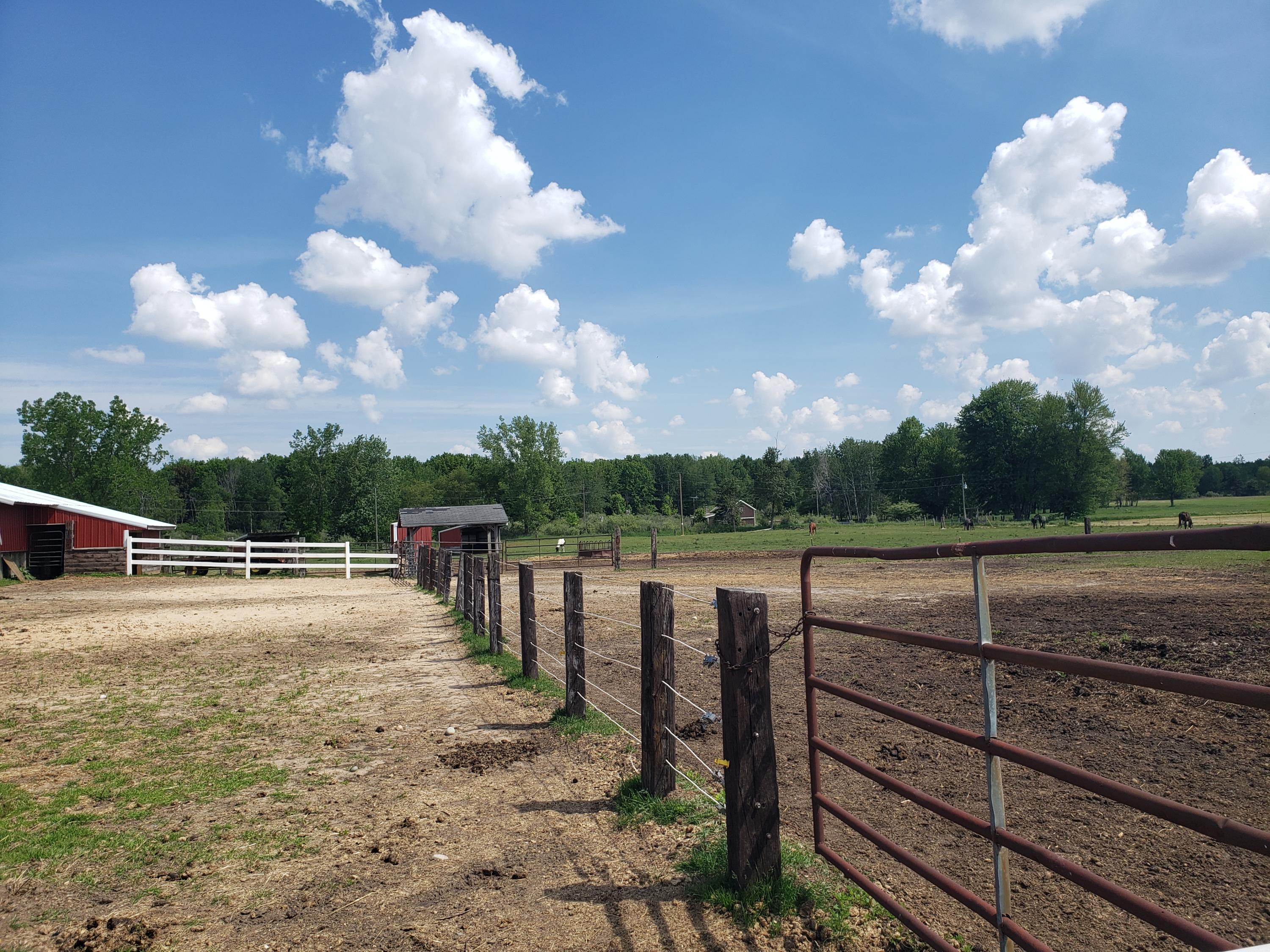 11086 Howard City Edmore Road Lakeview, MI 48850 - Photo 32 of 42 2021-06-02 11.35.42