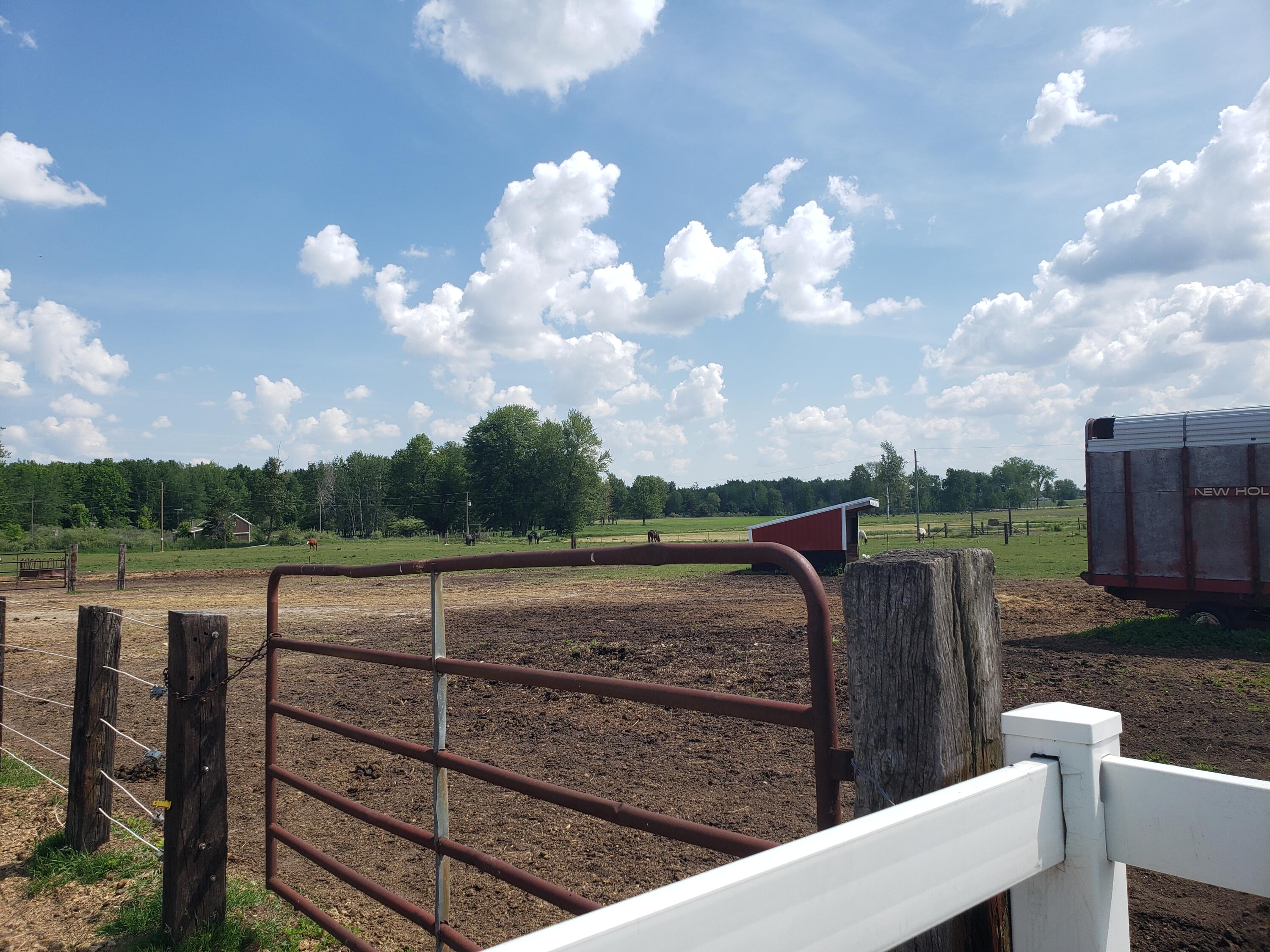 11086 Howard City Edmore Road Lakeview, MI 48850 - Photo 33 of 42 2021-06-02 11.35.45