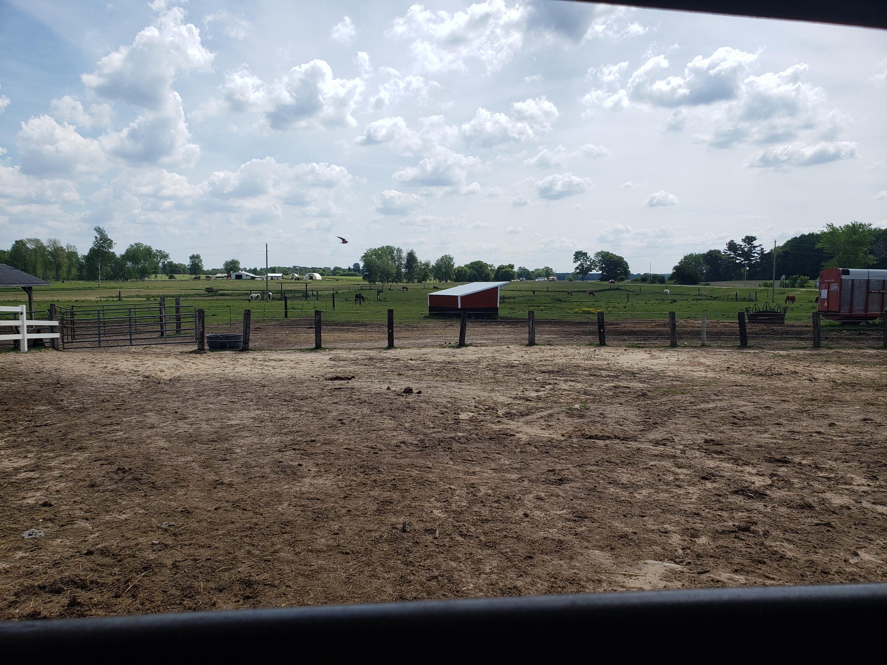 11086 Howard City Edmore Road Lakeview, MI 48850 - Photo 35 of 42 2021-06-02 11.47.12