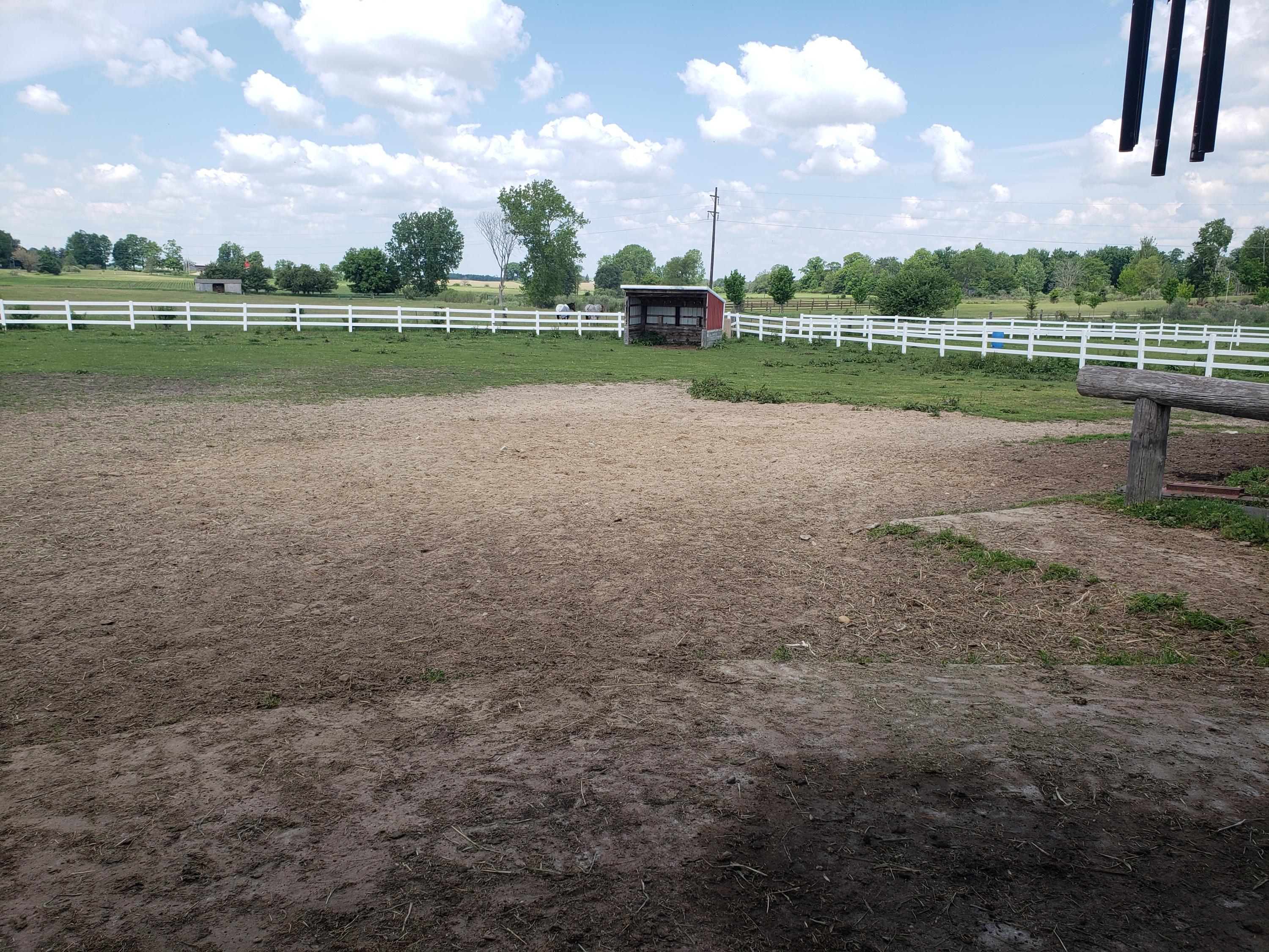 11086 Howard City Edmore Road Lakeview, MI 48850 - Photo 36 of 42 2021-06-02 11.48.37