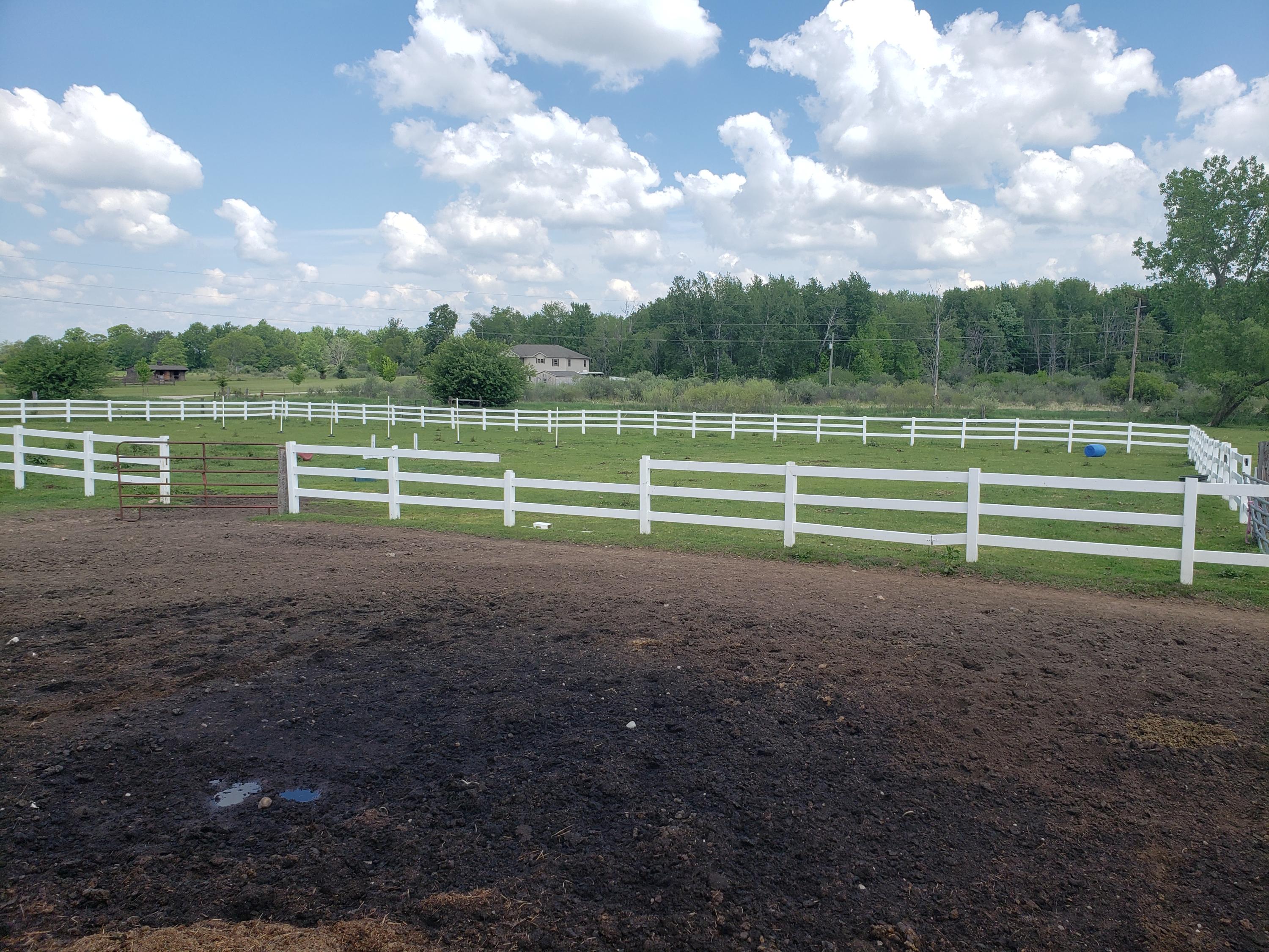 11086 Howard City Edmore Road Lakeview, MI 48850 - Photo 37 of 42 2021-06-02 11.49.02