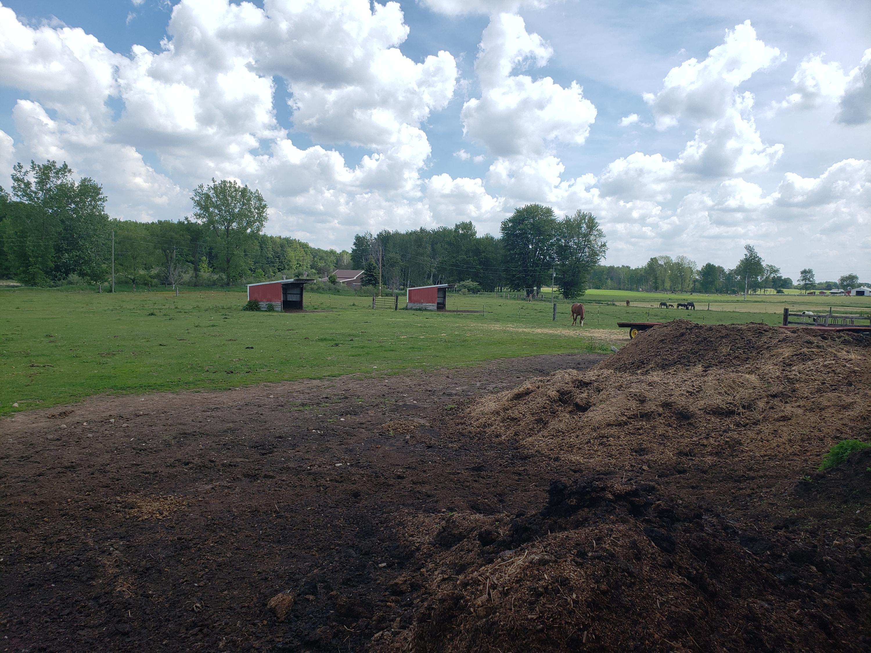 11086 Howard City Edmore Road Lakeview, MI 48850 - Photo 38 of 42 2021-06-02 11.49.07