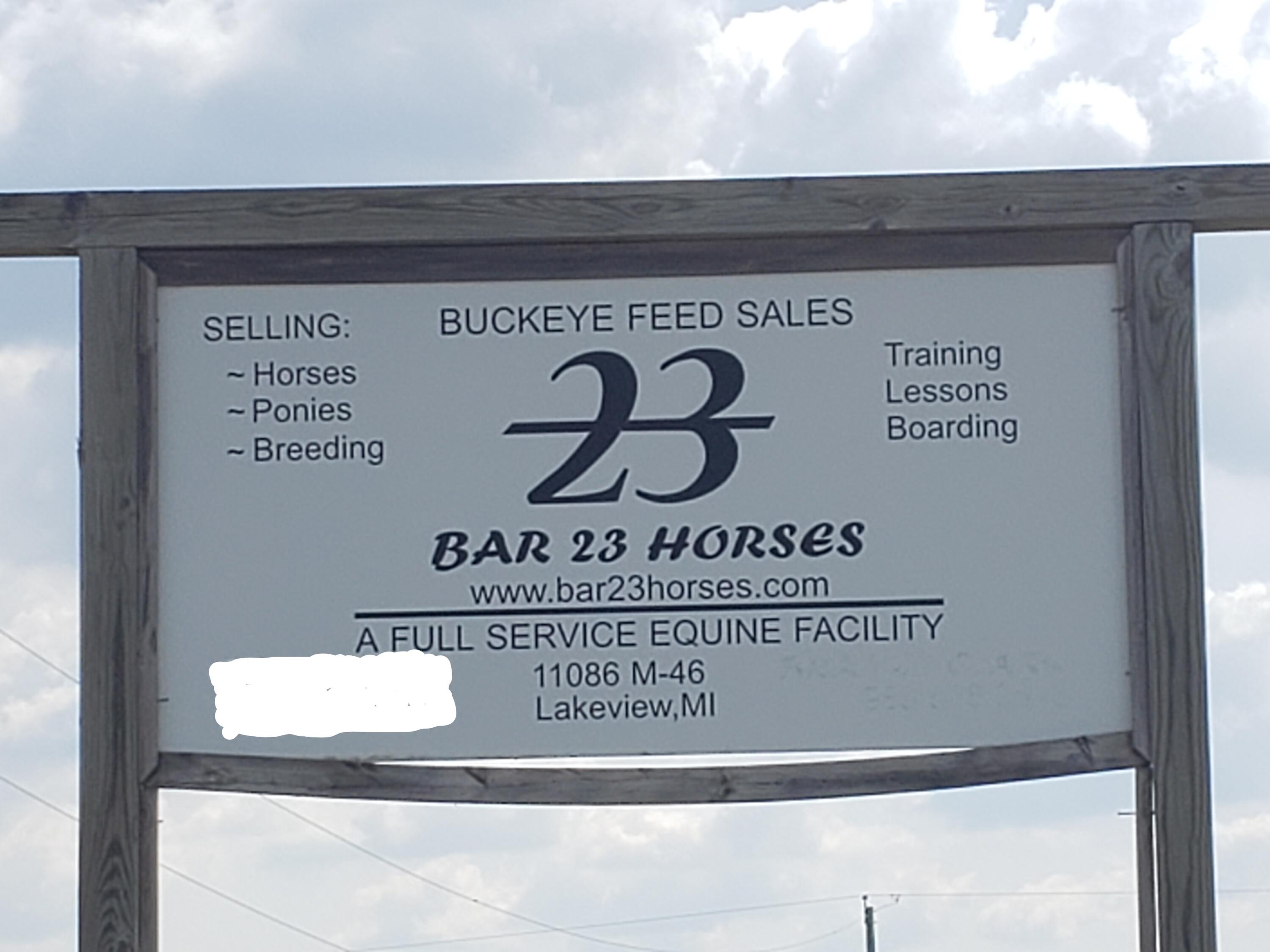 11086 Howard City Edmore Road Lakeview, MI 48850 - Photo 39 of 42 Sign at Road