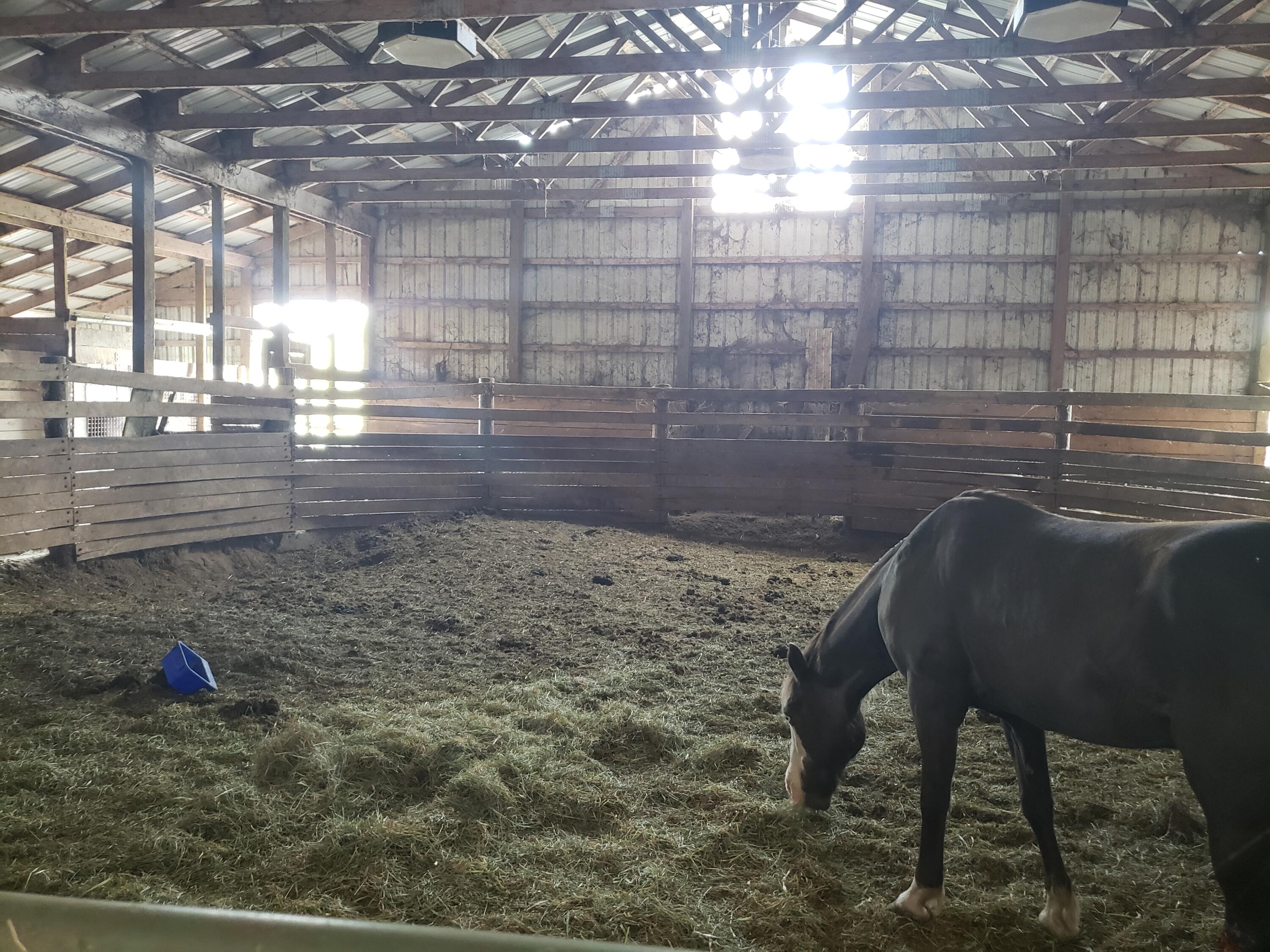 11086 Howard City Edmore Road Lakeview, MI 48850 - Photo 6 of 42 Indoor Round Pen