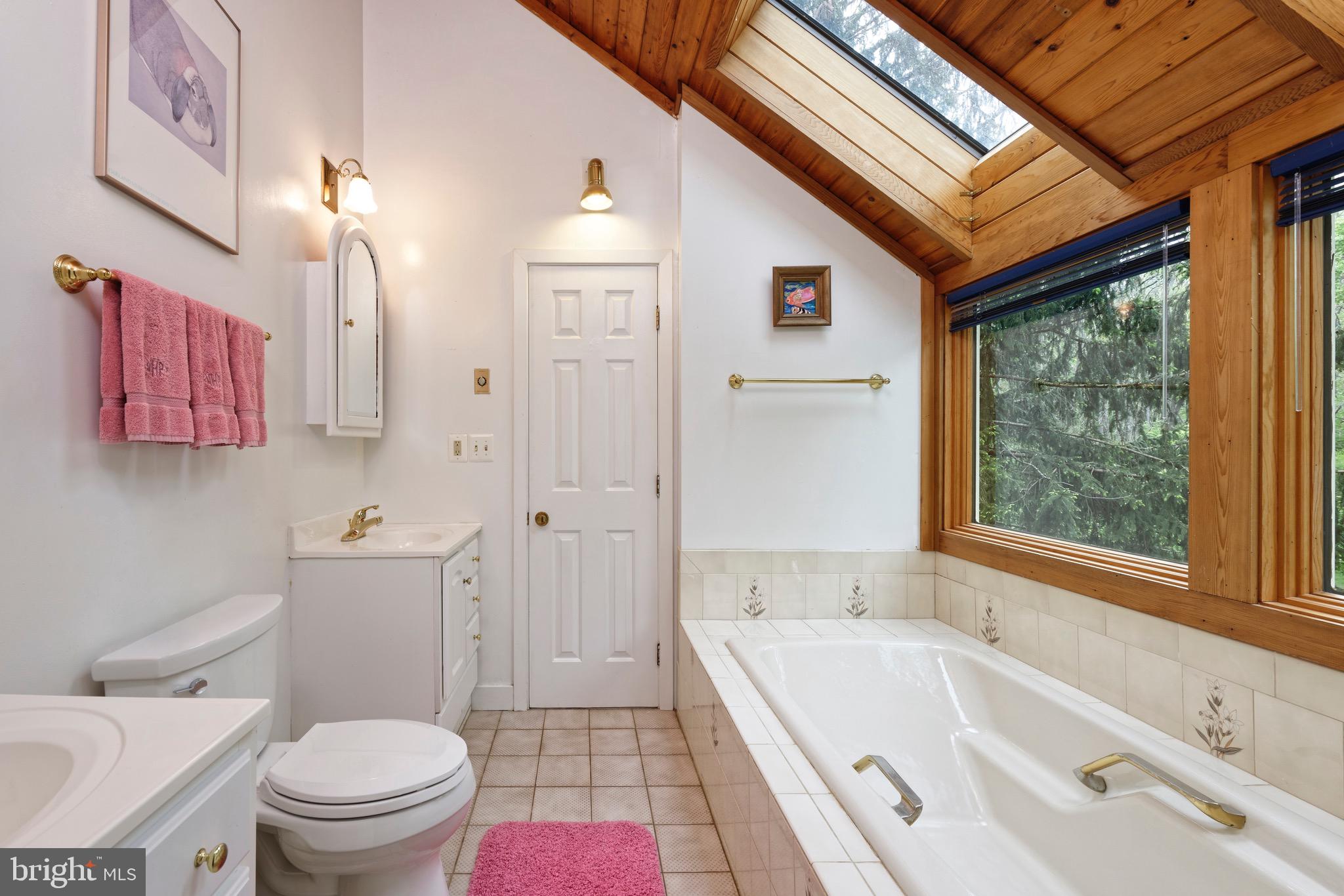 23159 Tail Race Road Aldie, VA 20105 - Photo 19 of 51 Luxury bath w/2 vanities and soaking tub