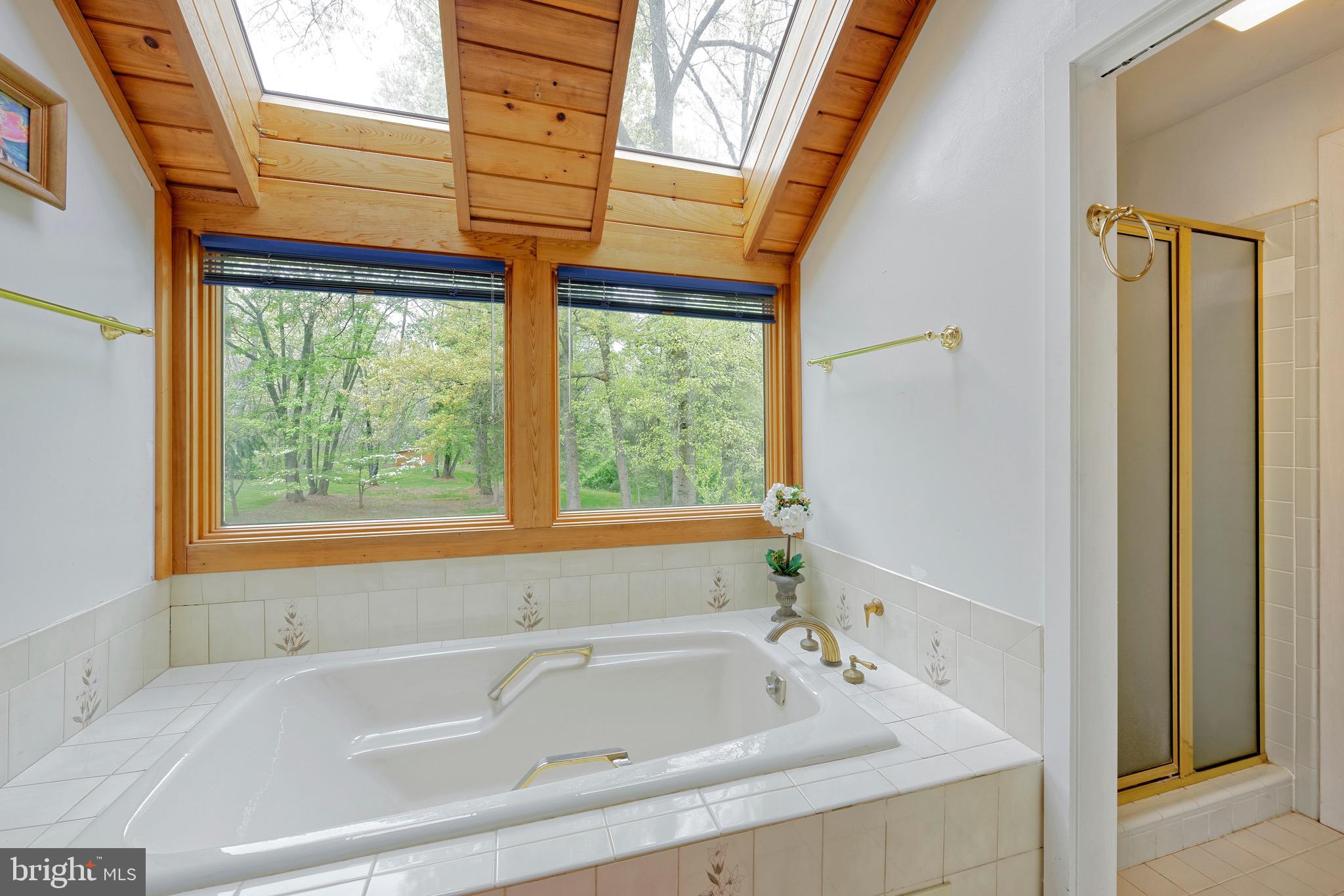 23159 Tail Race Road Aldie, VA 20105 - Photo 21 of 51 Luxury soaking tub enjoys the scenery from outside