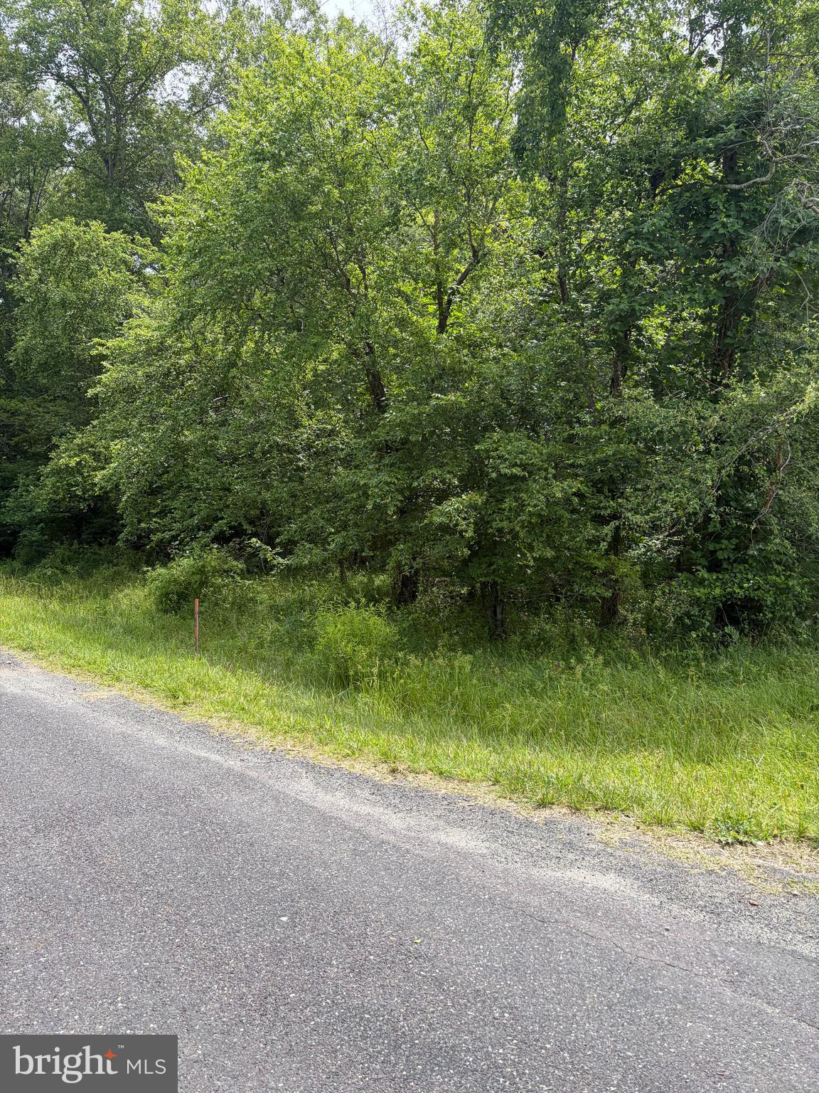 1 Rapidan Road Locust Grove, VA 22508 - Photo 9 of 21 What will you do with this land?