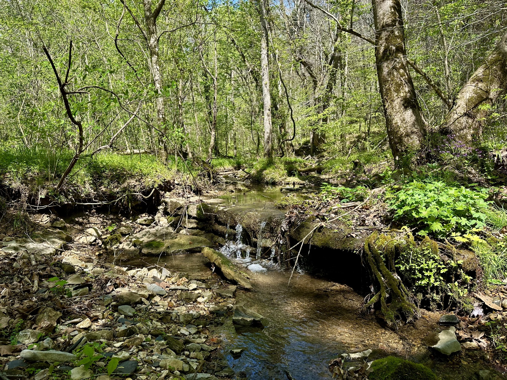 0 Ponder Road Smithville, TN 37166 - Photo 1 of 20