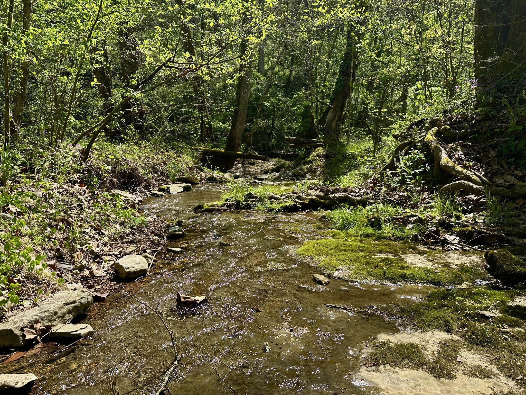 0 Ponder Road Smithville, TN 37166 - Photo 11 of 20