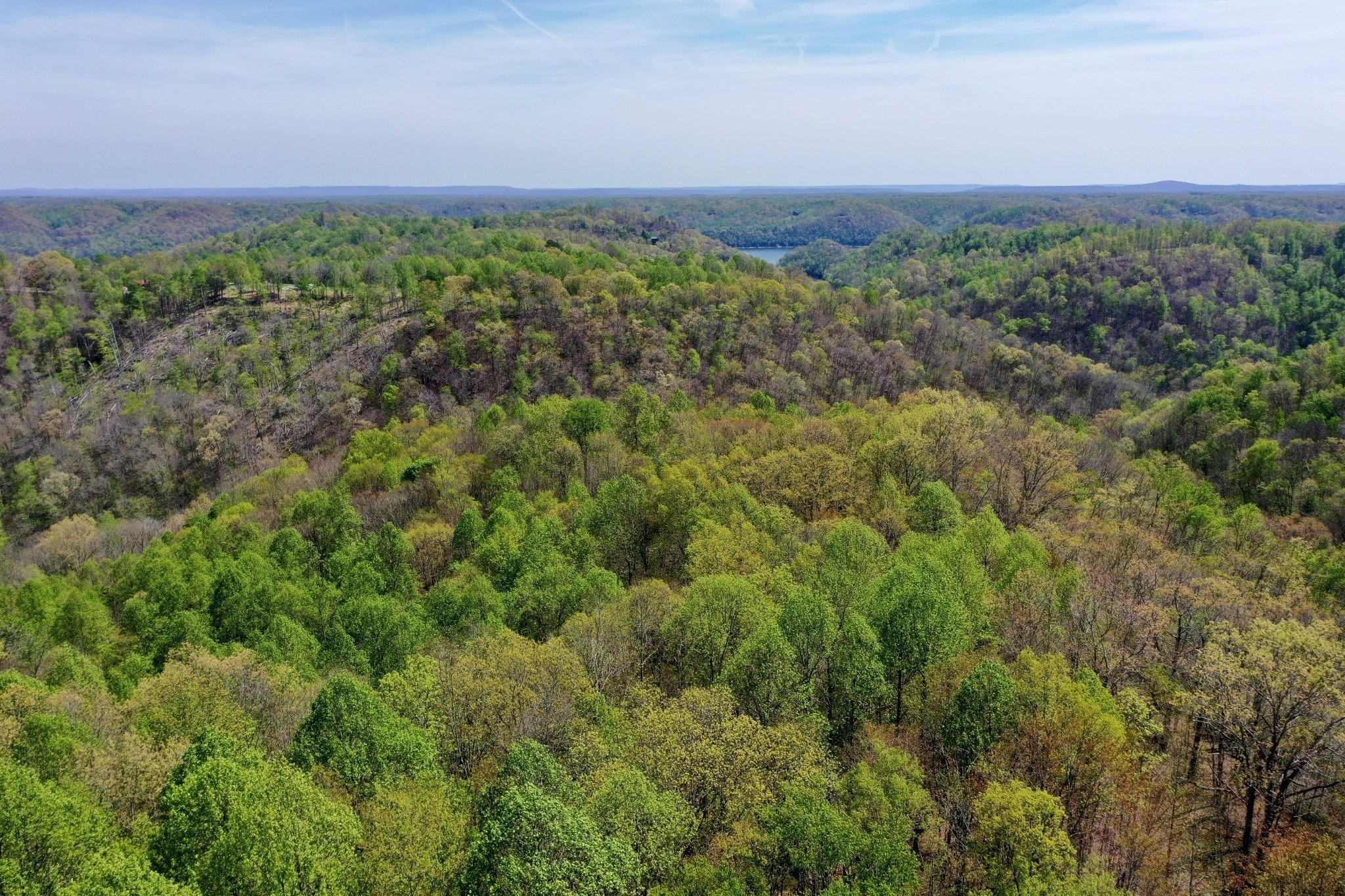 0 Ponder Road Smithville, TN 37166 - Photo 16 of 20