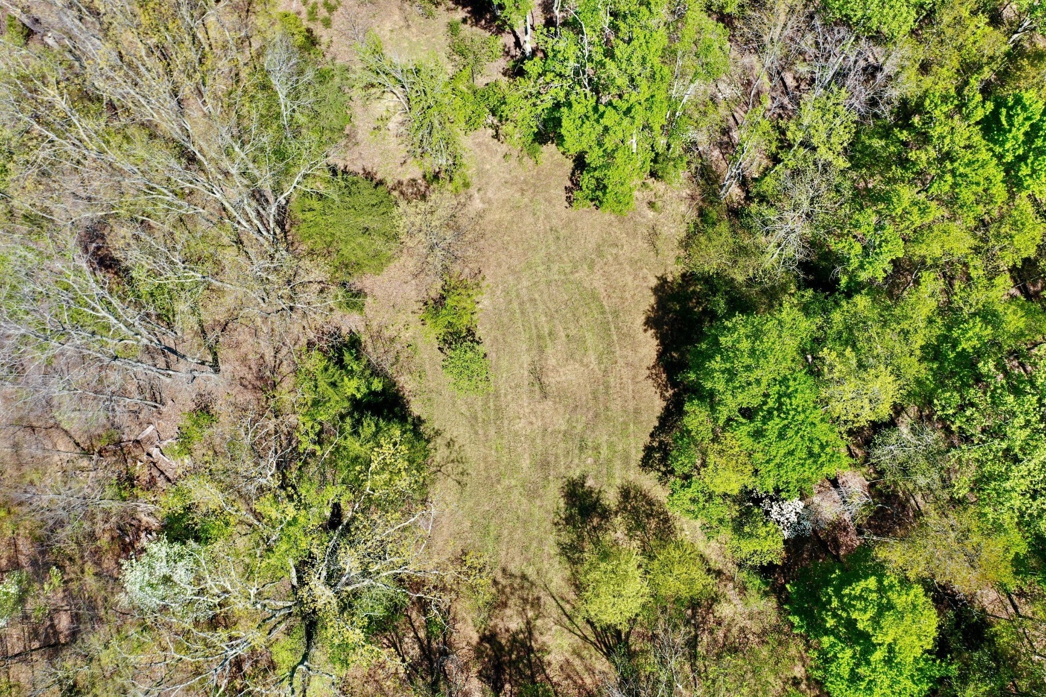 0 Ponder Road Smithville, TN 37166 - Photo 17 of 20