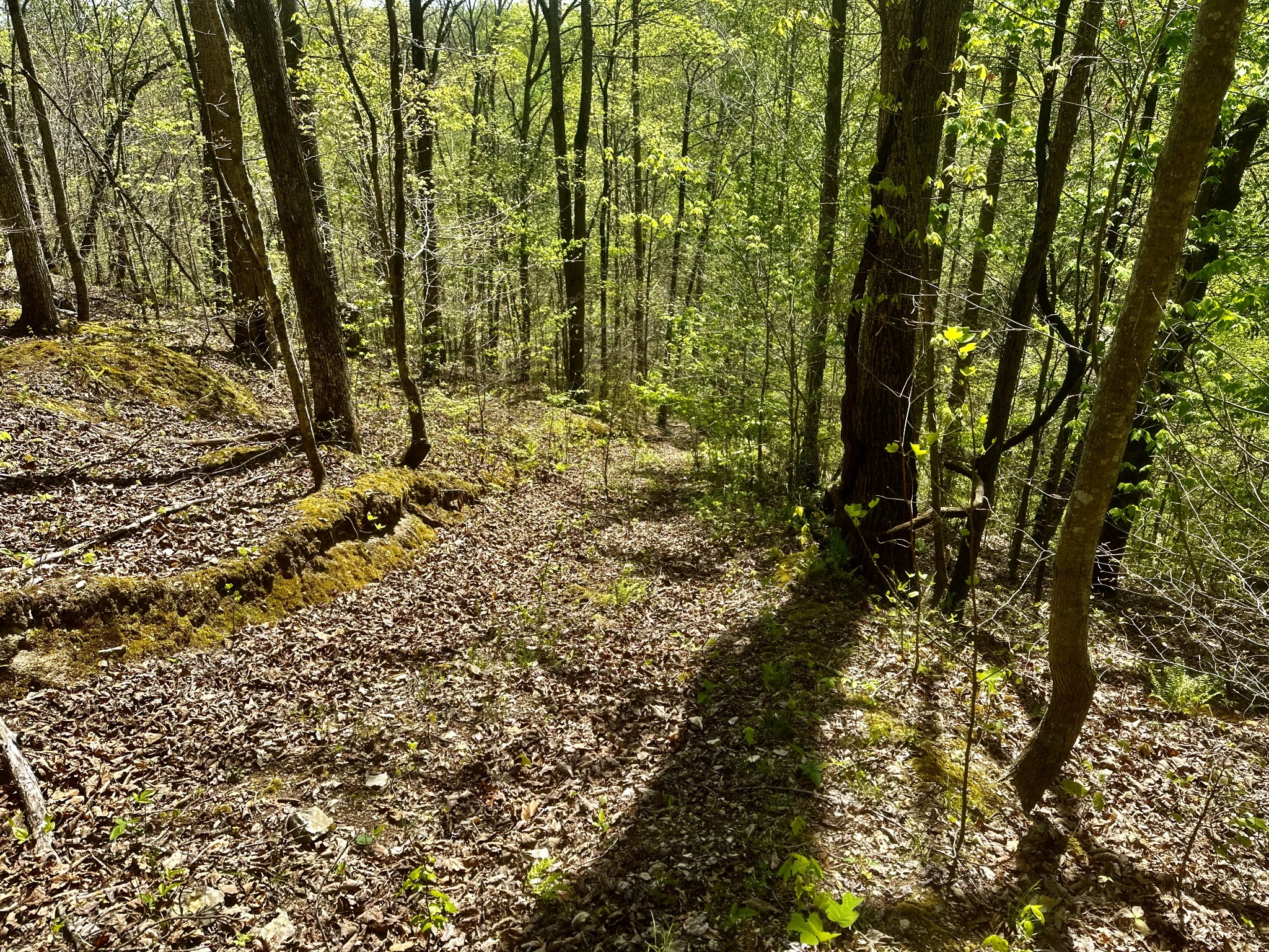 0 Ponder Road Smithville, TN 37166 - Photo 18 of 20