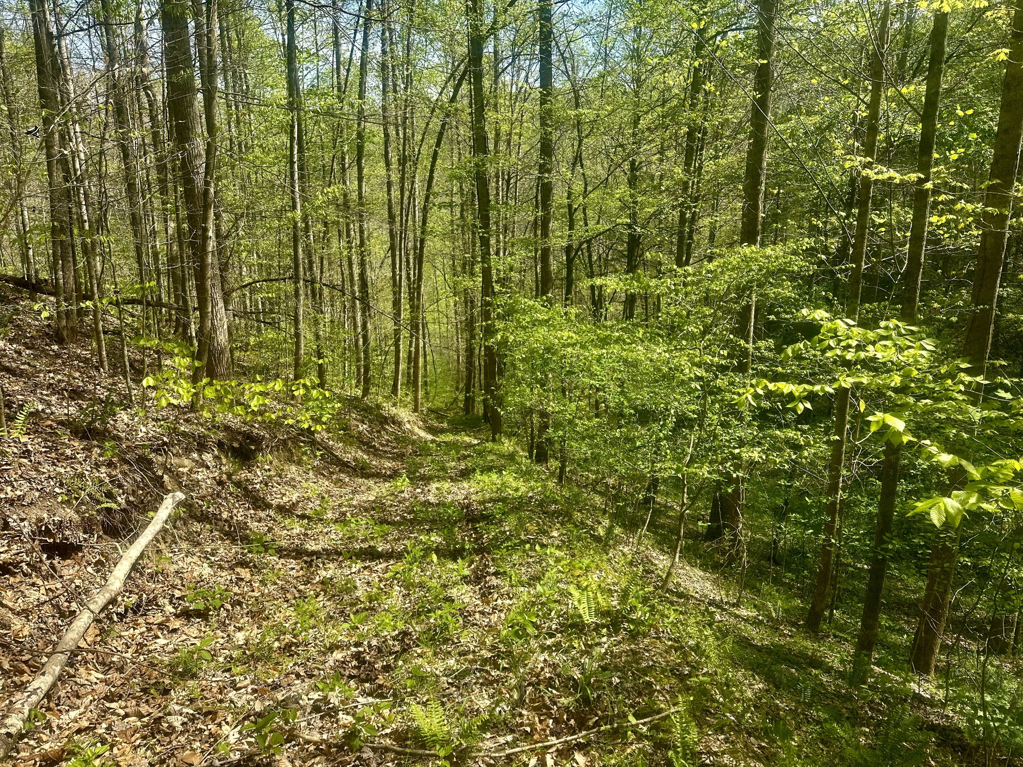 0 Ponder Road Smithville, TN 37166 - Photo 19 of 20