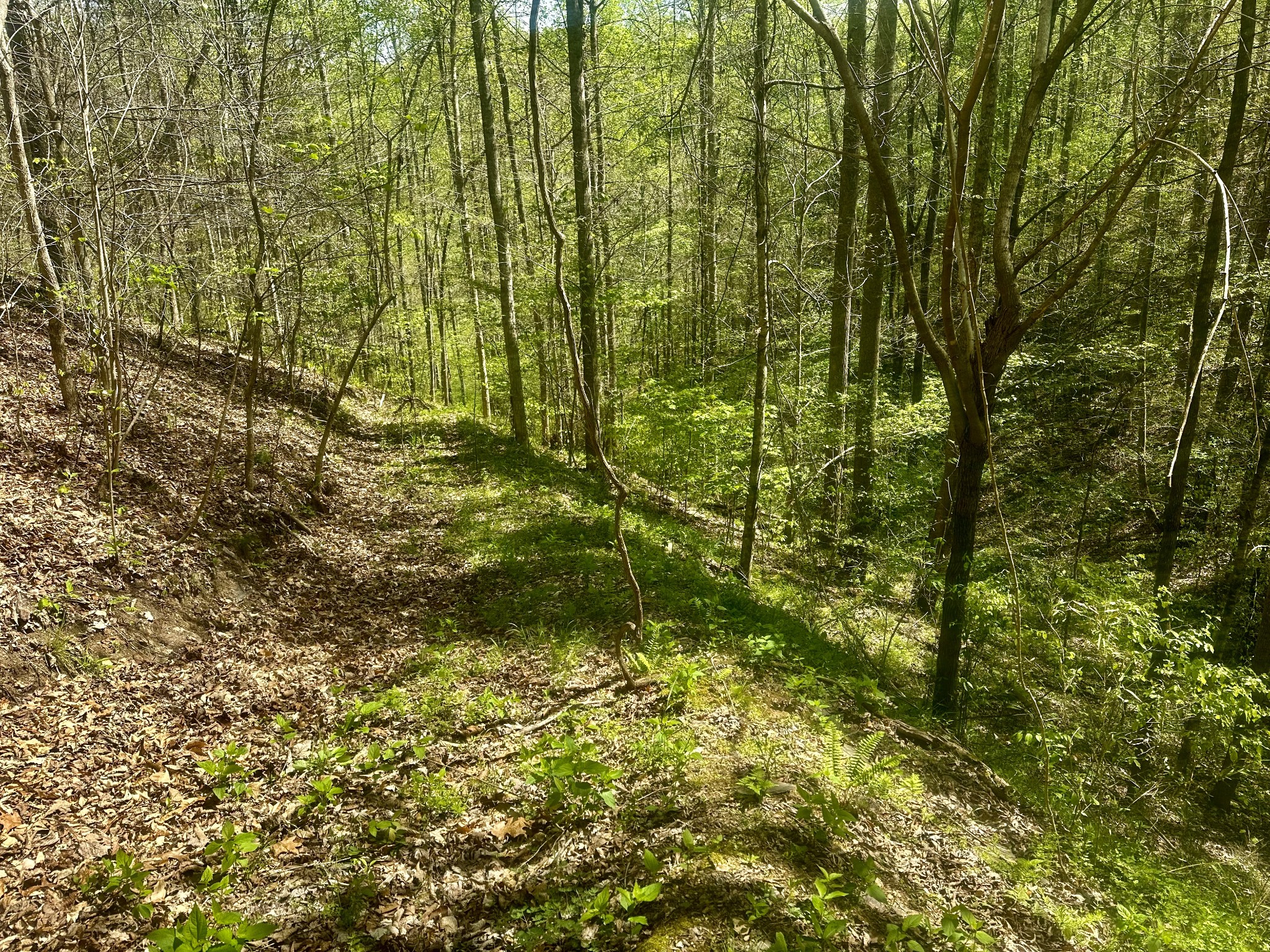 0 Ponder Road Smithville, TN 37166 - Photo 20 of 20