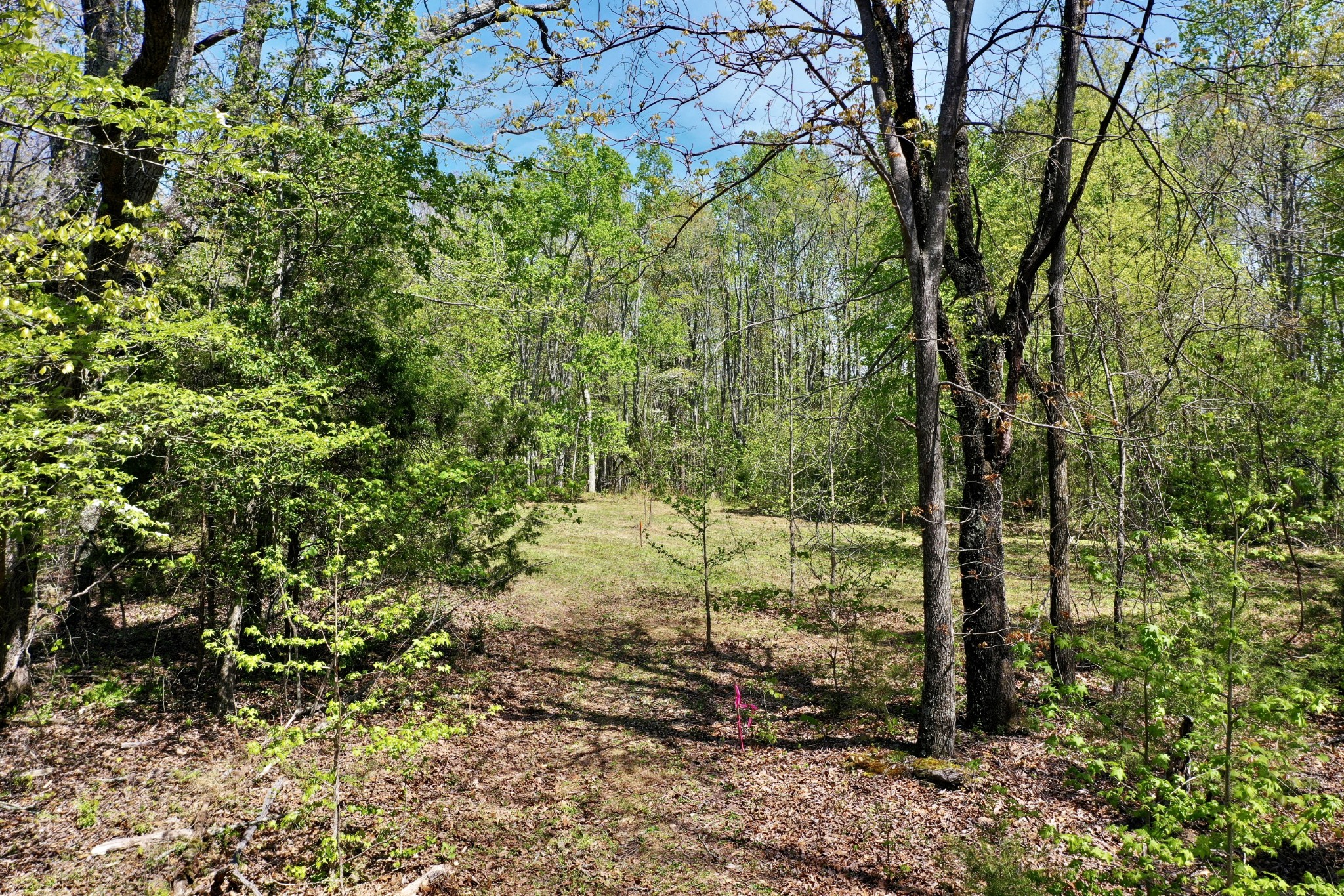 0 Ponder Road Smithville, TN 37166 - Photo 2 of 20