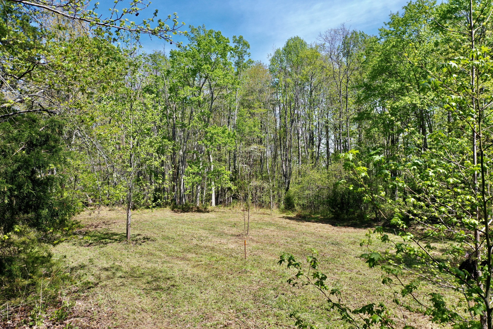 0 Ponder Road Smithville, TN 37166 - Photo 4 of 20