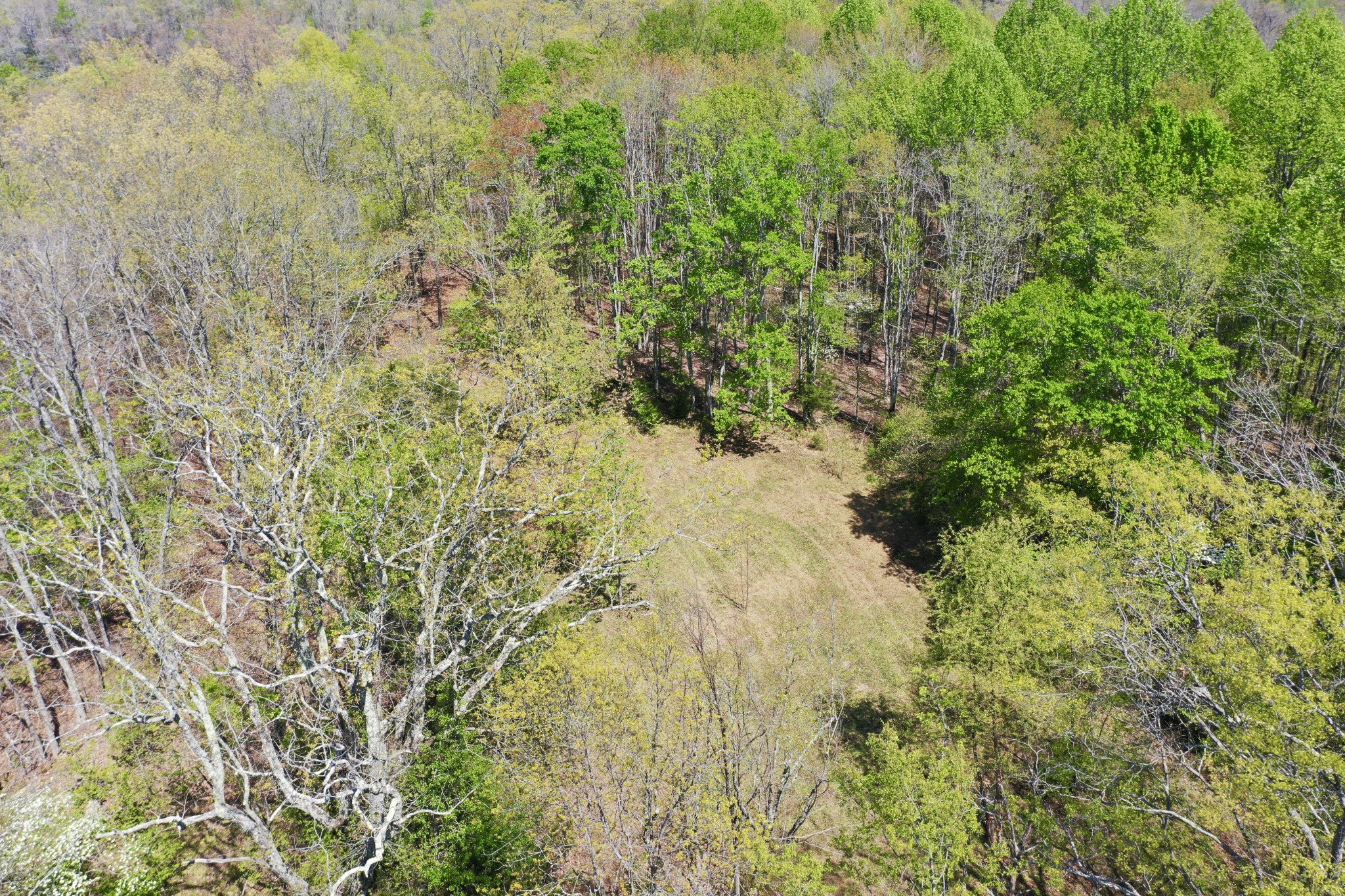 0 Ponder Road Smithville, TN 37166 - Photo 5 of 20