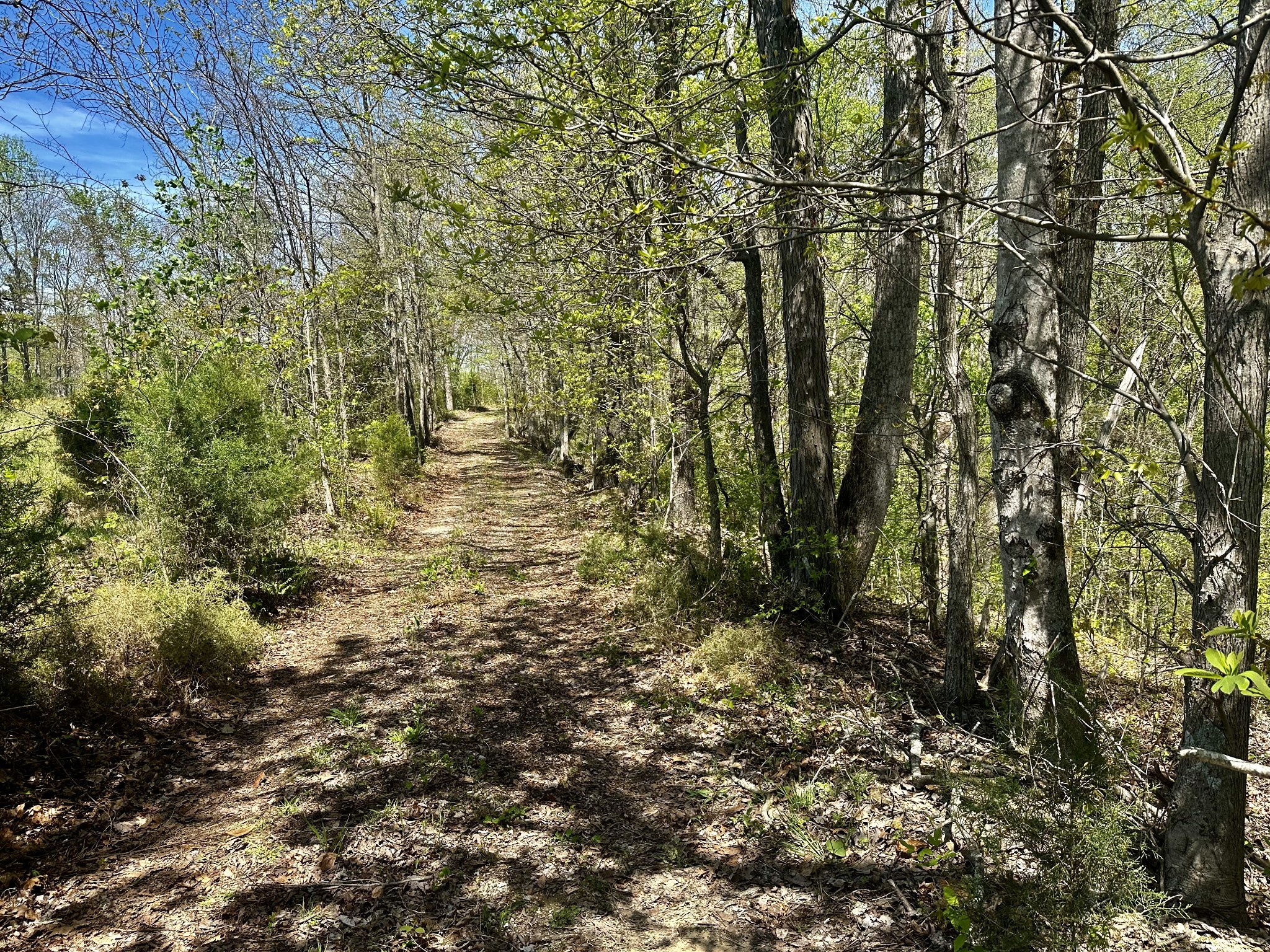 0 Ponder Road Smithville, TN 37166 - Photo 6 of 20