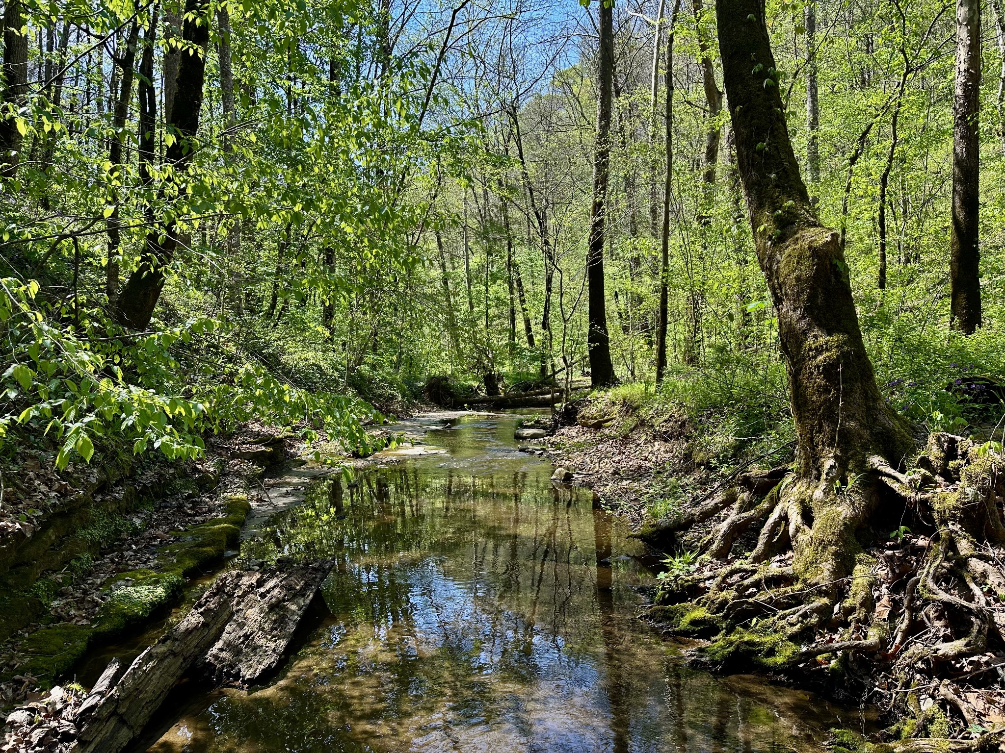 0 Ponder Road Smithville, TN 37166 - Photo 8 of 20