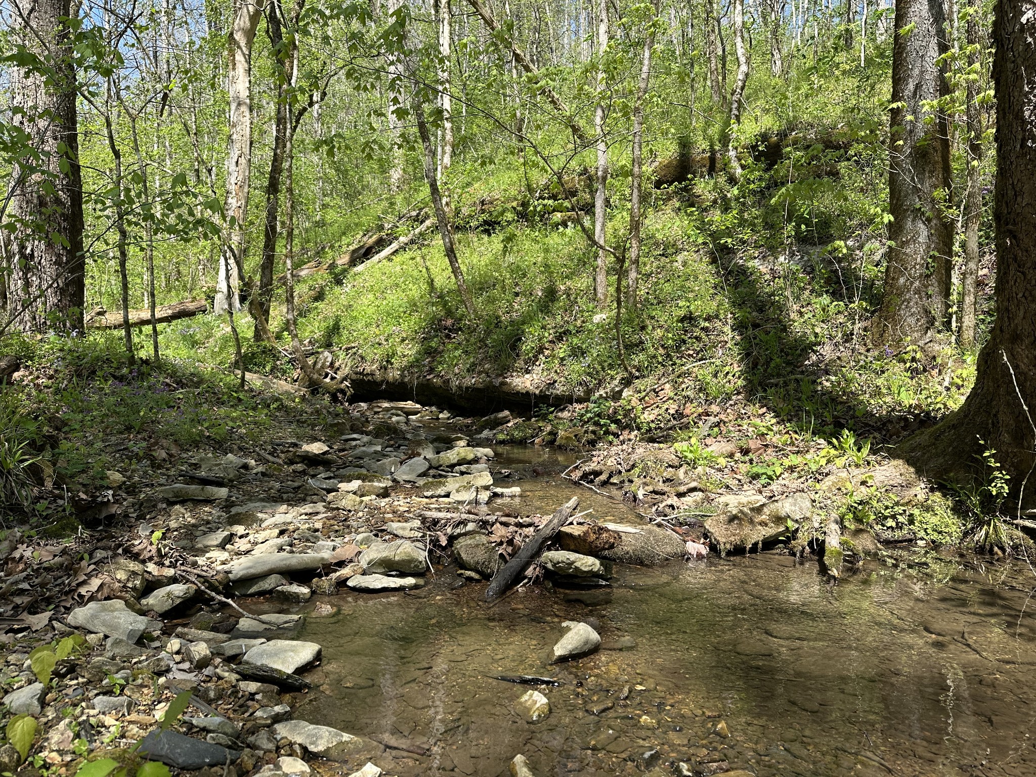 0 Ponder Road Smithville, TN 37166 - Photo 9 of 20