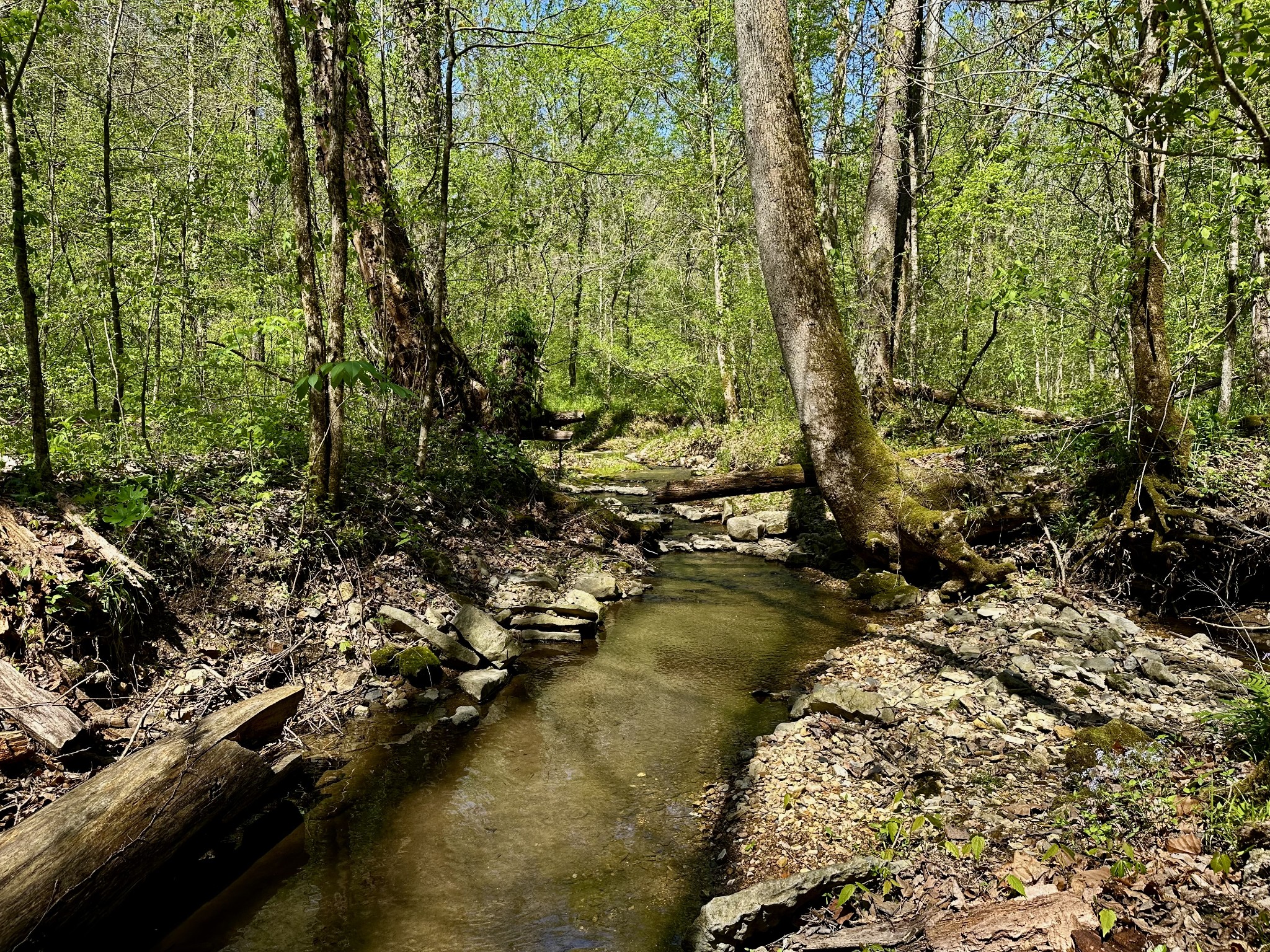 0 Ponder Road Smithville, TN 37166 - Photo 10 of 20