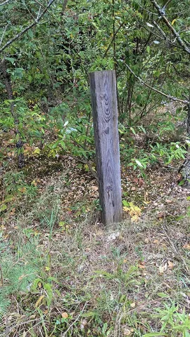 $59,900 | 0 East 14 Mile Road, Unit PARCEL A, Bitely, MI 49309