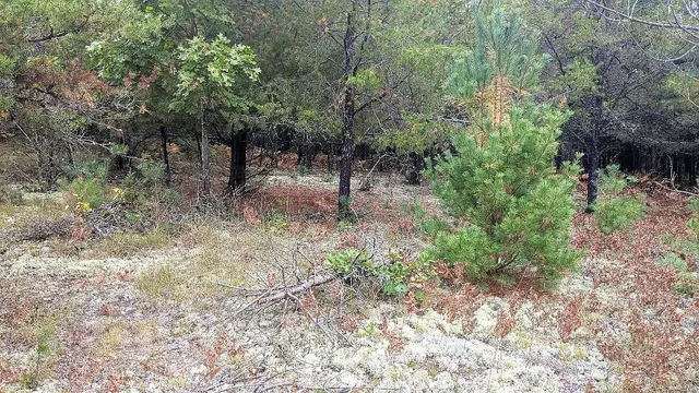 $59,900 | 0 East 14 Mile Road, Unit PARCEL A, Bitely, MI 49309