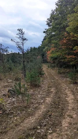 $59,900 | 0 East 14 Mile Road, Unit PARCEL A, Bitely, MI 49309