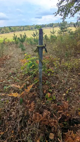 $59,900 | 0 East 14 Mile Road, Unit PARCEL A, Bitely, MI 49309