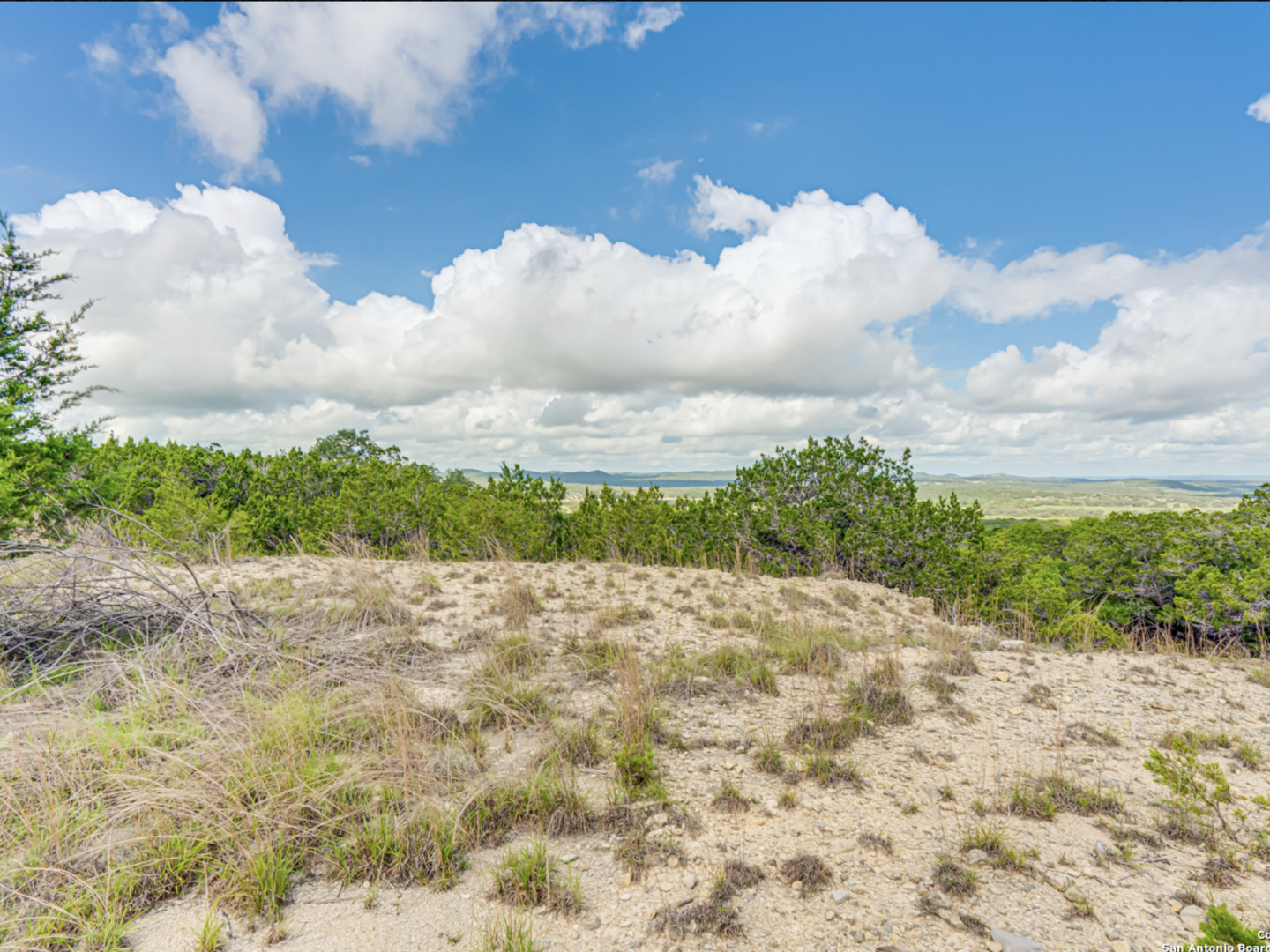259 Forest Ridge Drive Lakehills, TX 78063 - Photo 14 of 30 a view of a dry yard with wooden fence