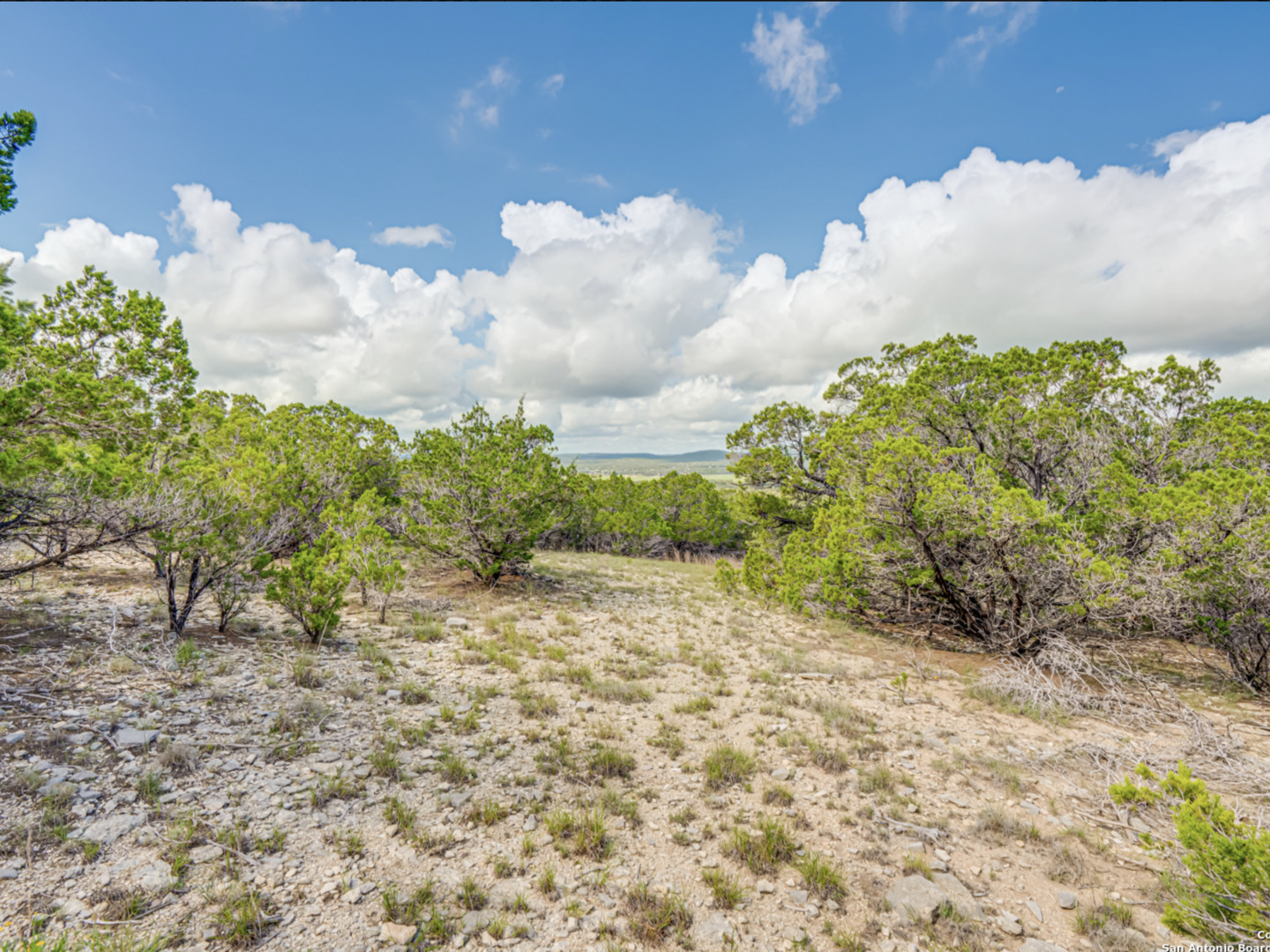 259 Forest Ridge Drive Lakehills, TX 78063 - Photo 16 of 30 a view of a yard with plants and wooden fence