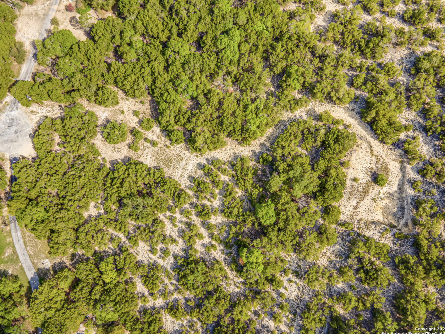 259 Forest Ridge Drive Lakehills, TX 78063 - Photo 20 of 30 a view of a yard