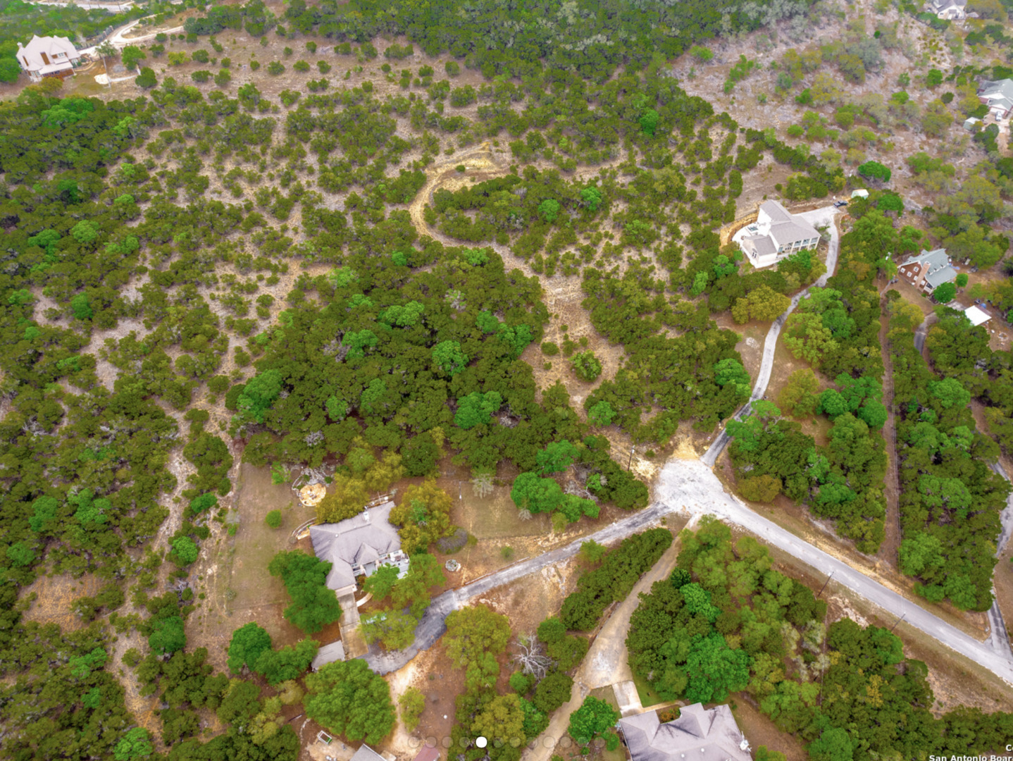 259 Forest Ridge Drive Lakehills, TX 78063 - Photo 5 of 30 a view of plant from a tree