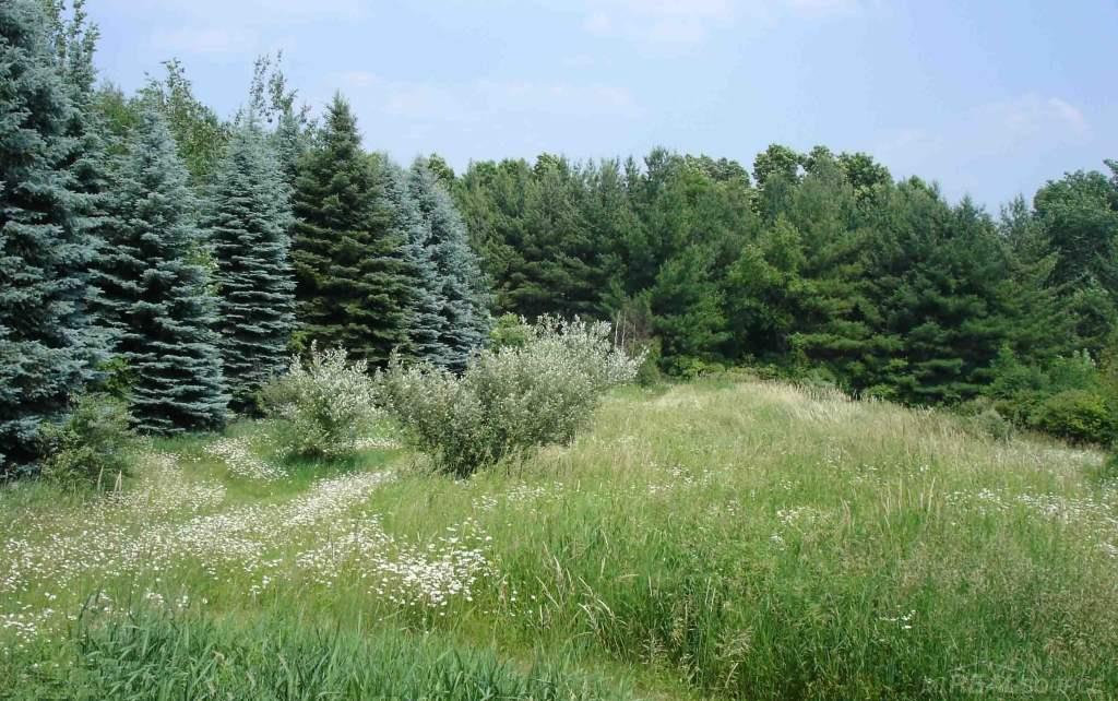 5931 Lippincott Road Lapeer, MI 48446 - Photo 25 of 46 Gallery Image 25