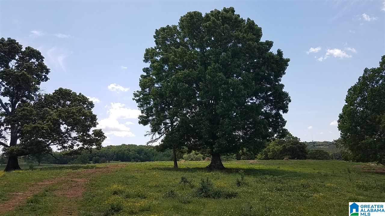 31 County Road Ashland, AL 36251 - Photo 30 of 38
