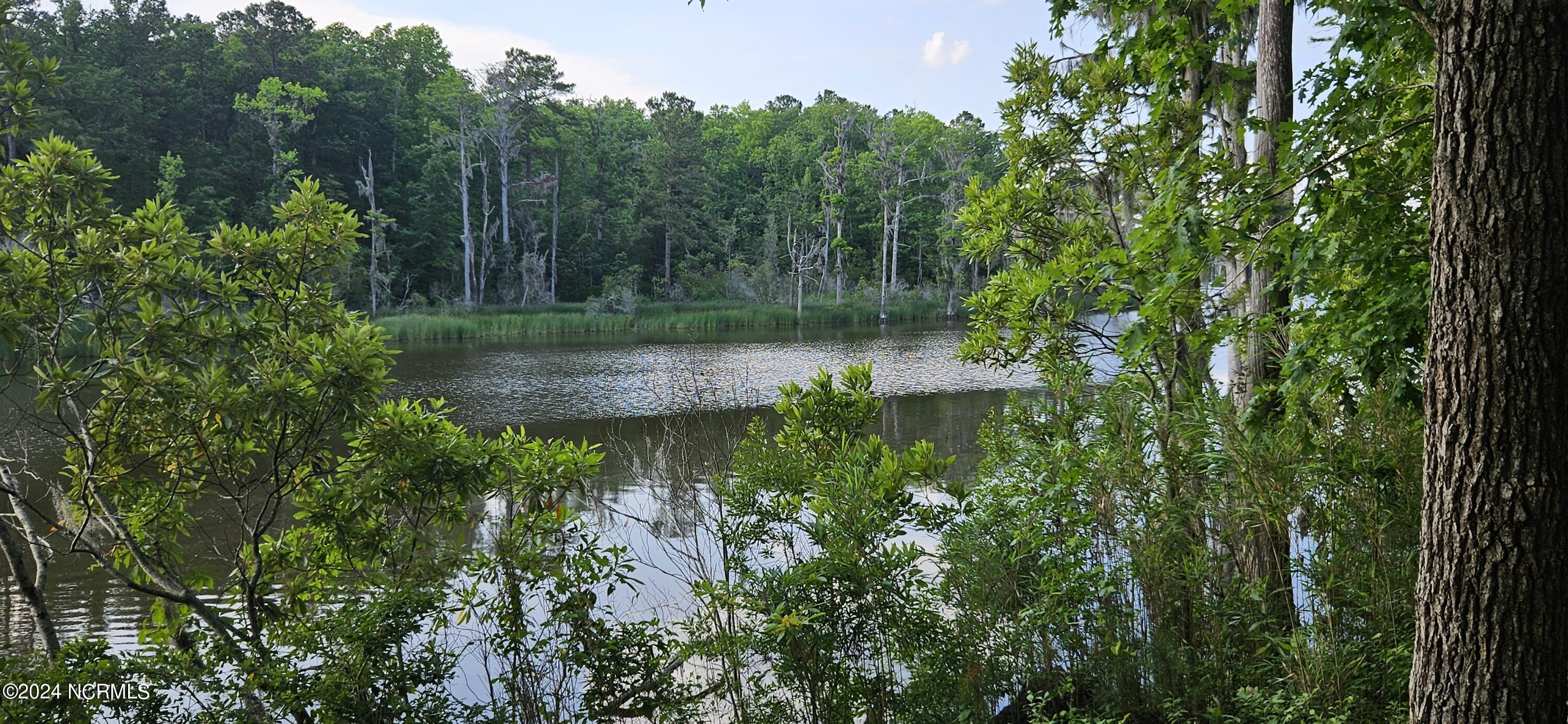 55 Long Point Road Chocowinity, NC 27817 - Photo 5 of 20 View