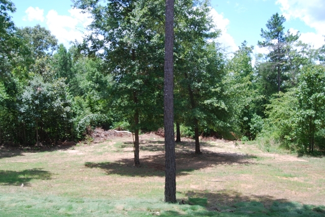 167 Chapman Ridge Road Macon, GA 31211 - Photo 14 of 16 Additional Photo