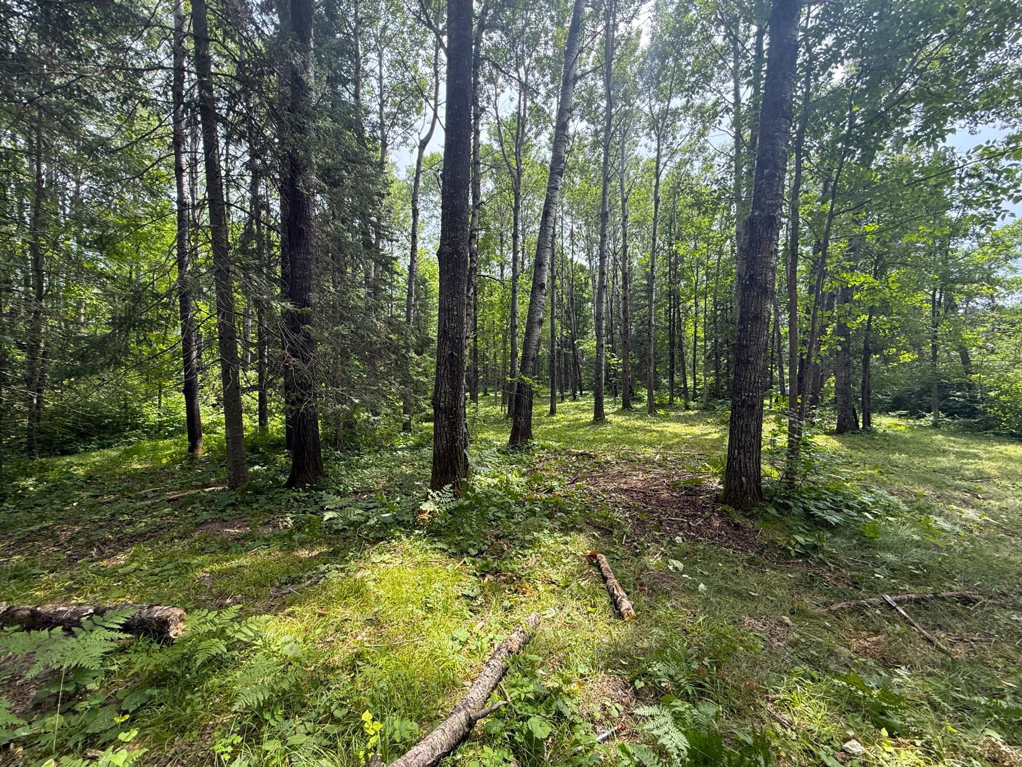 42050 Little Pine Road Emily, MN 56447 - Photo 125 of 141