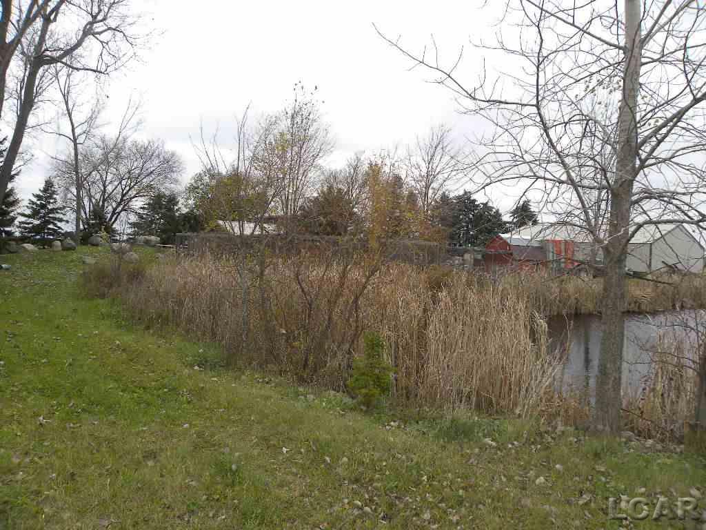 3643 East Ridgeville Road Jasper, MI 49248 - Photo 18 of 21