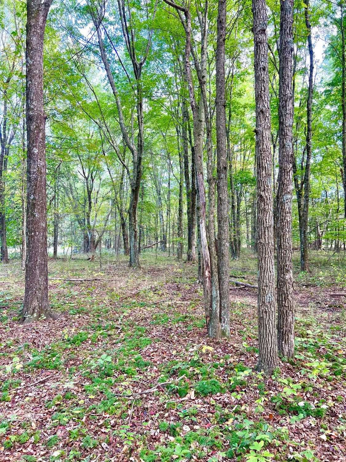 0 Pool Kuntz Road Sardinia, OH 45171 - Photo 34 of 50 Gallery Image 34