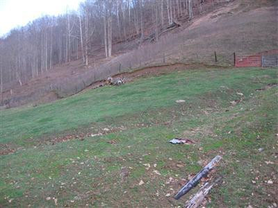 505 Old Field Branch Road Manchester, KY 40962 - Photo 2 of 15 land is entirely fenced