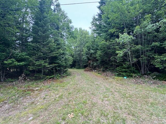 1 South Ridge Road Palmyra, ME 04965 - Photo 3 of 8 IMG_0191
