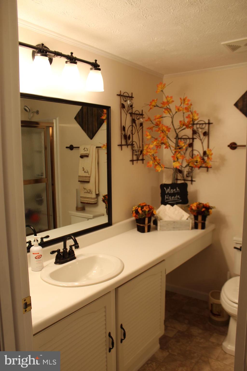 7721 Baggins Road Hanover, MD 21076 - Photo 17 of 33 Main bathroom