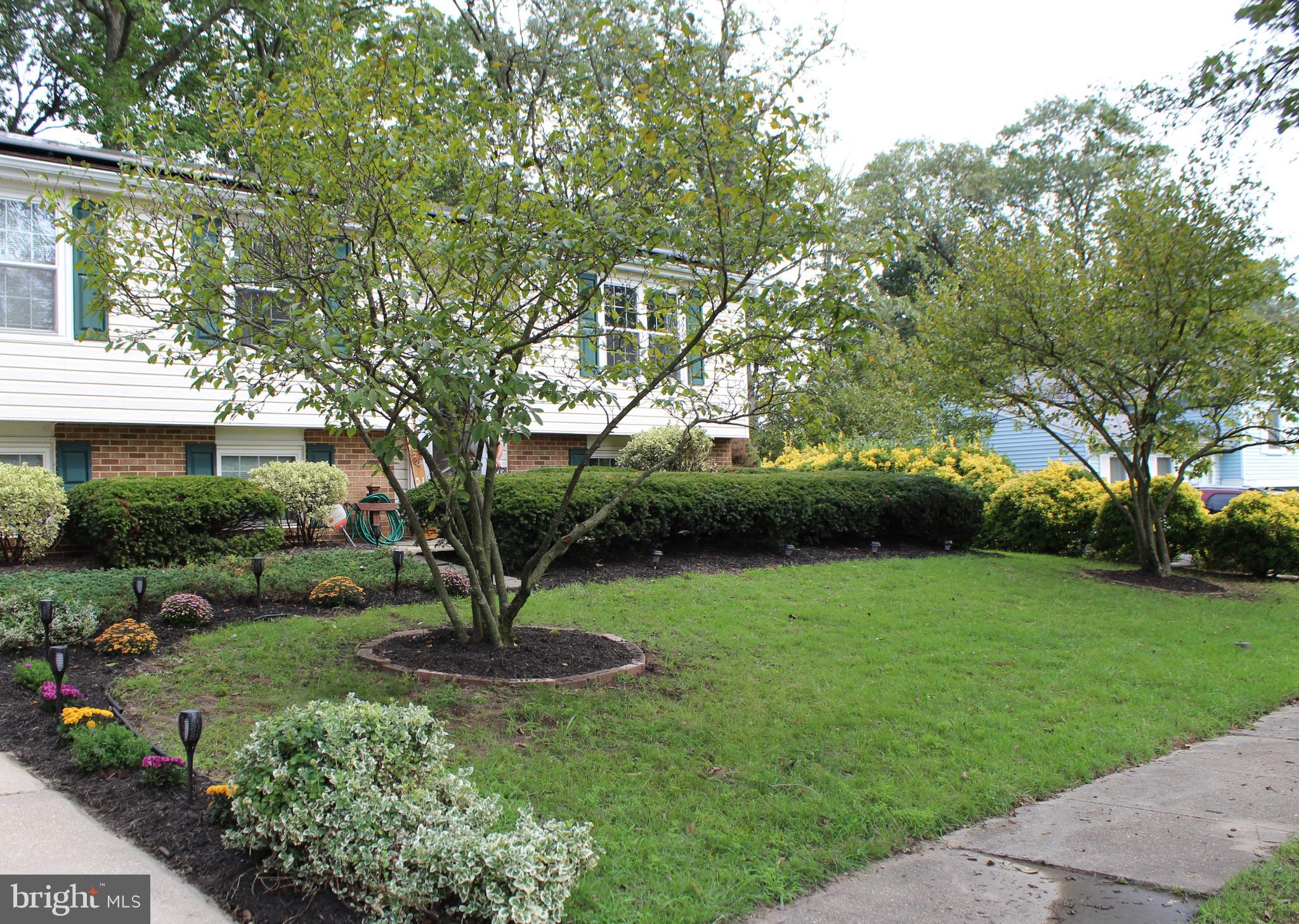 7721 Baggins Road Hanover, MD 21076 - Photo 3 of 33 Well maintained front lawn