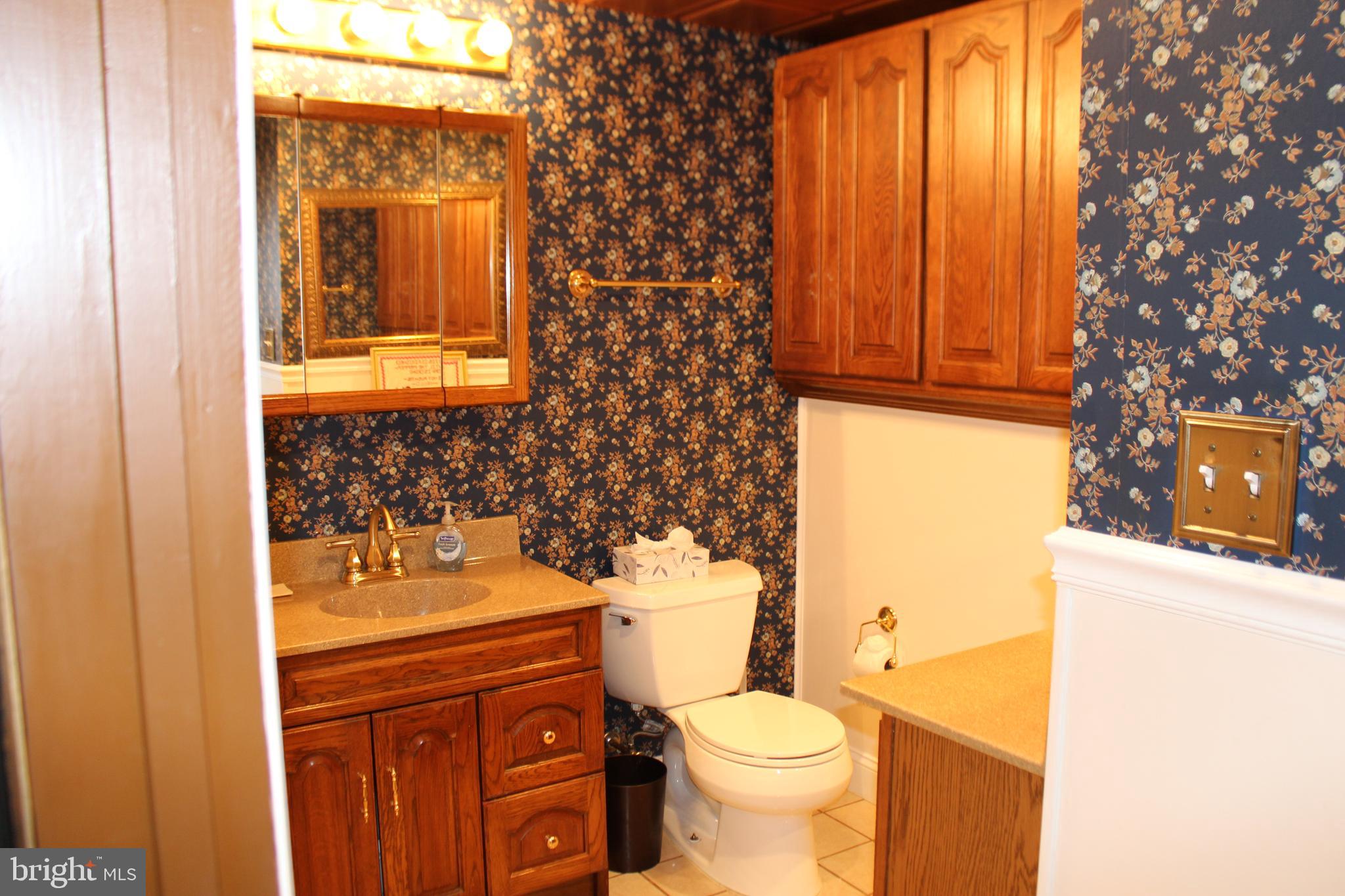 7721 Baggins Road Hanover, MD 21076 - Photo 27 of 33 Lower level bathroom